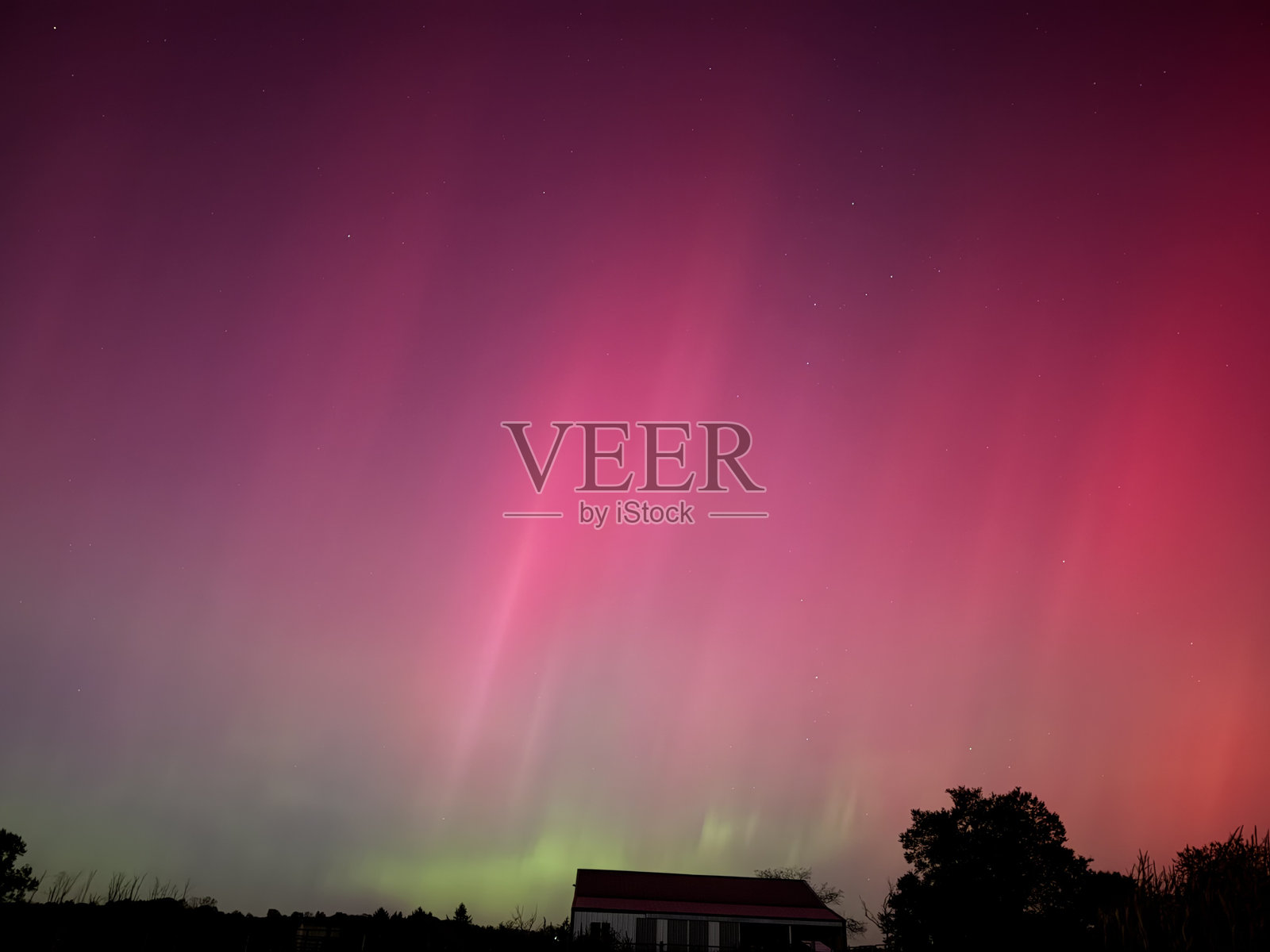 2024照片摄影图片