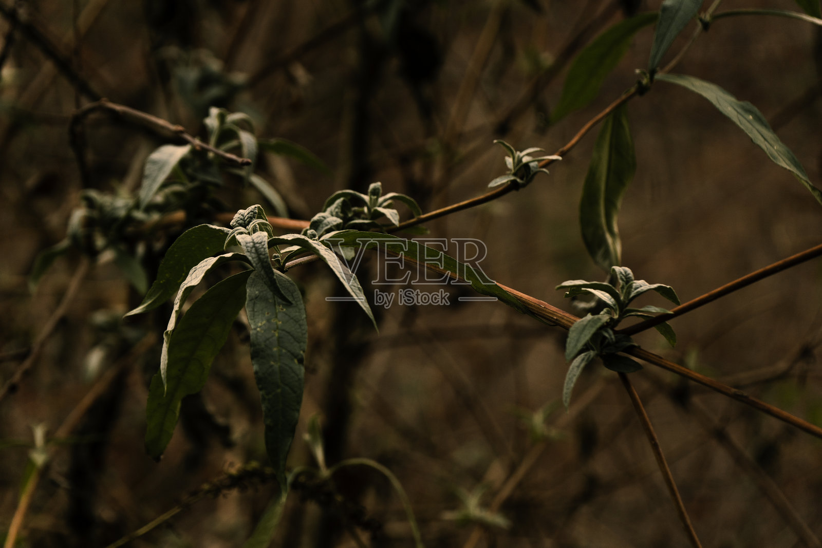 照明的纸张照片摄影图片