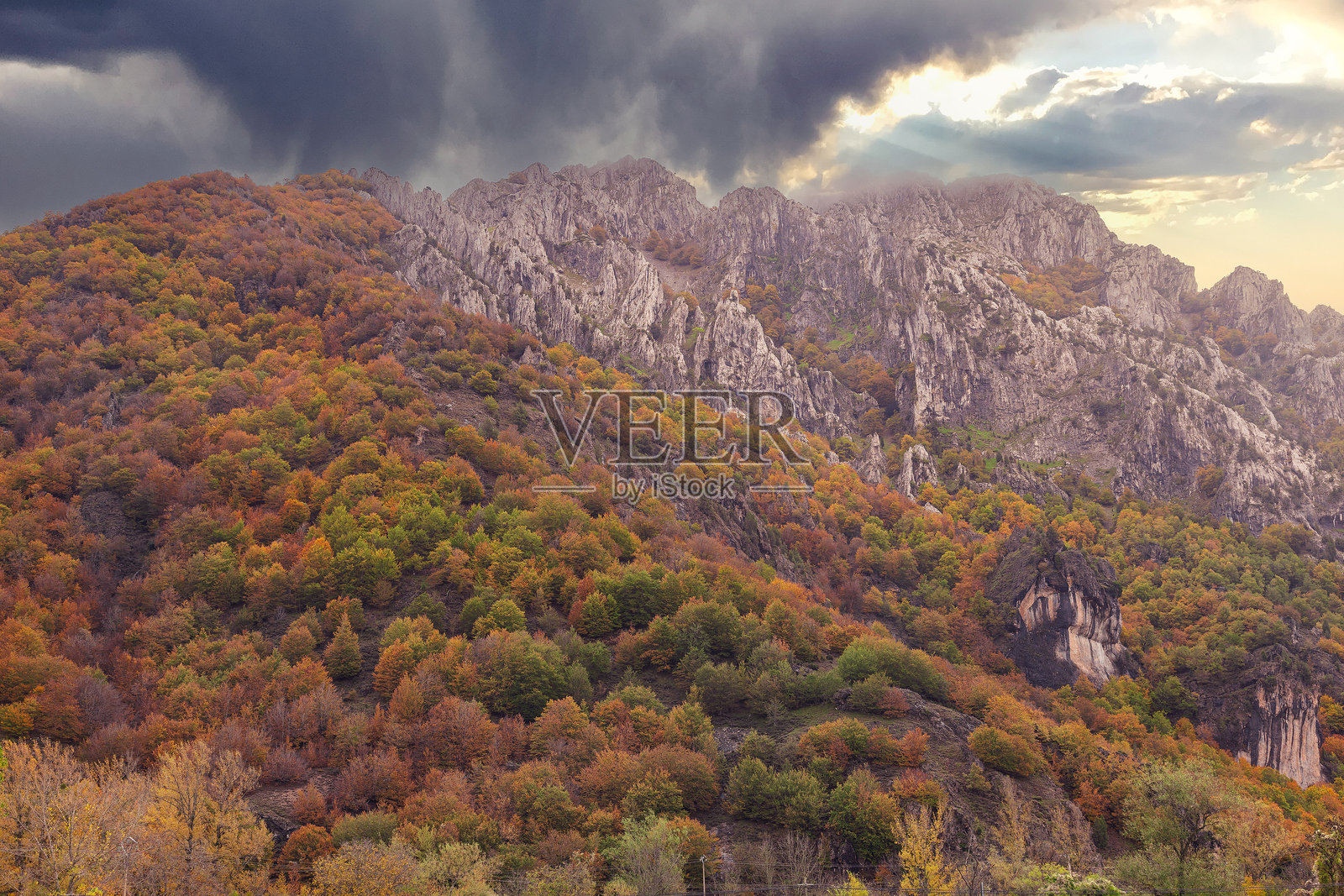 秋季印花照片摄影图片
