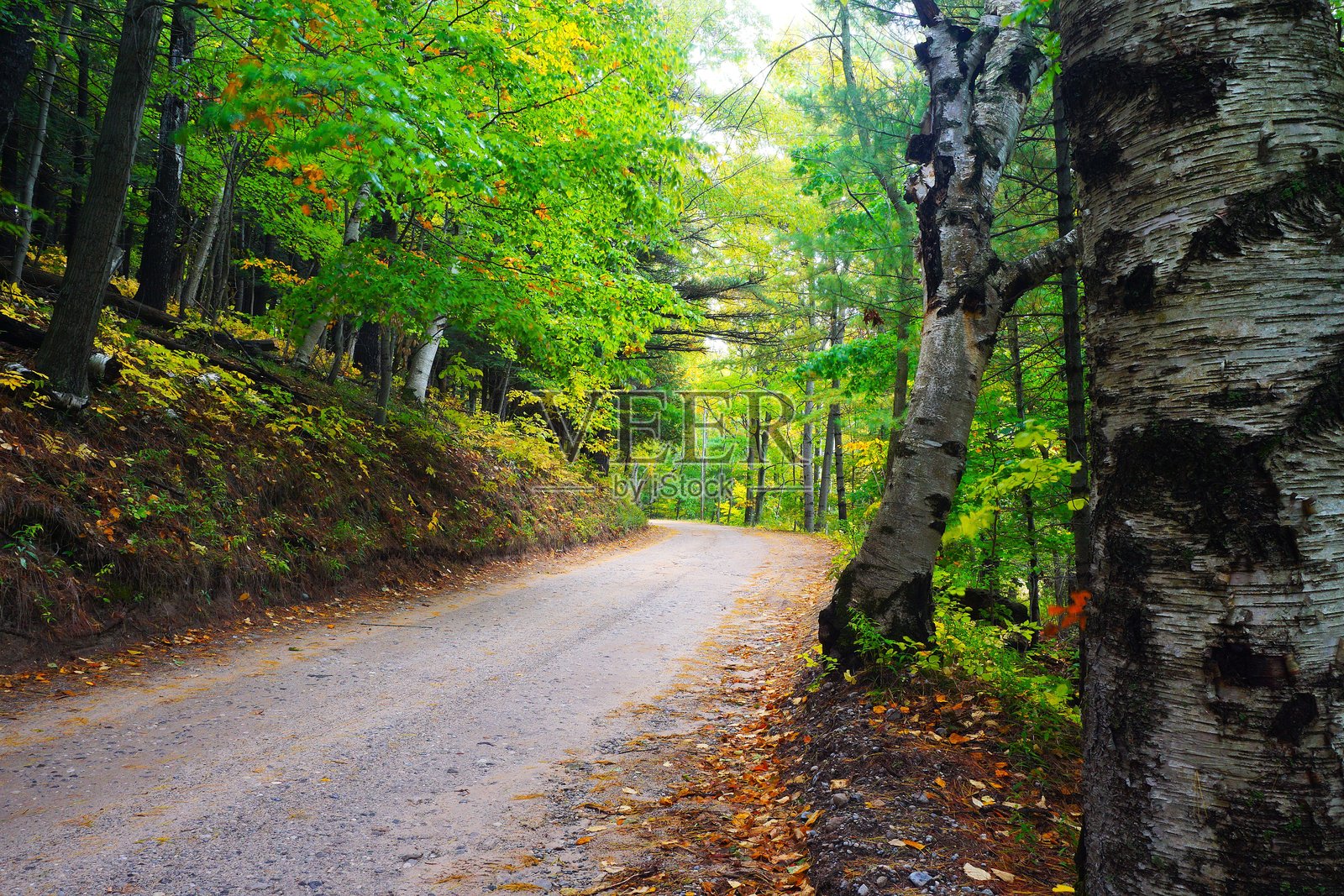 密歇根州睡熊沙丘国家湖岸照片摄影图片