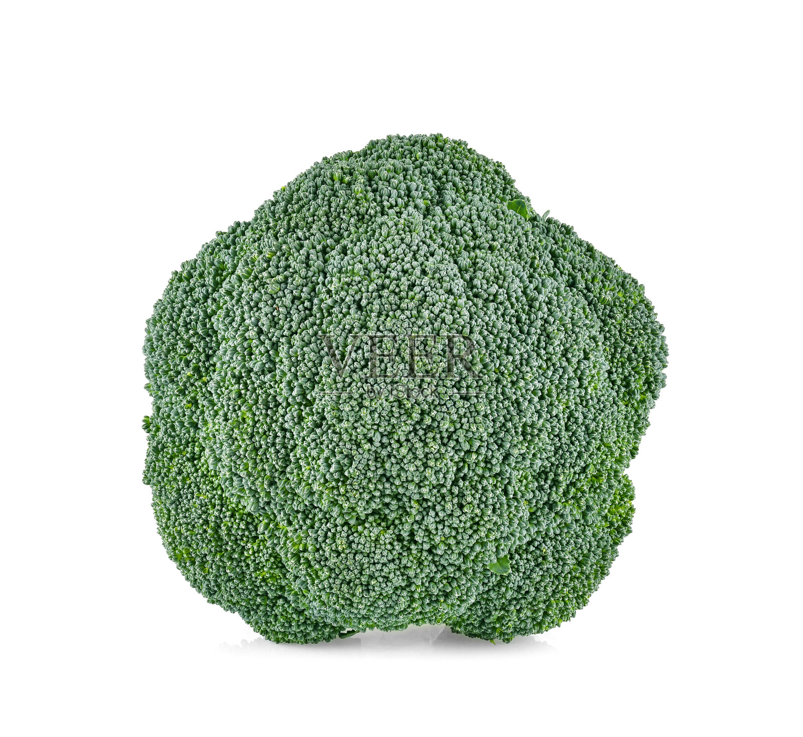 孤立的西兰花。白色背景上的西兰花。照片摄影图片