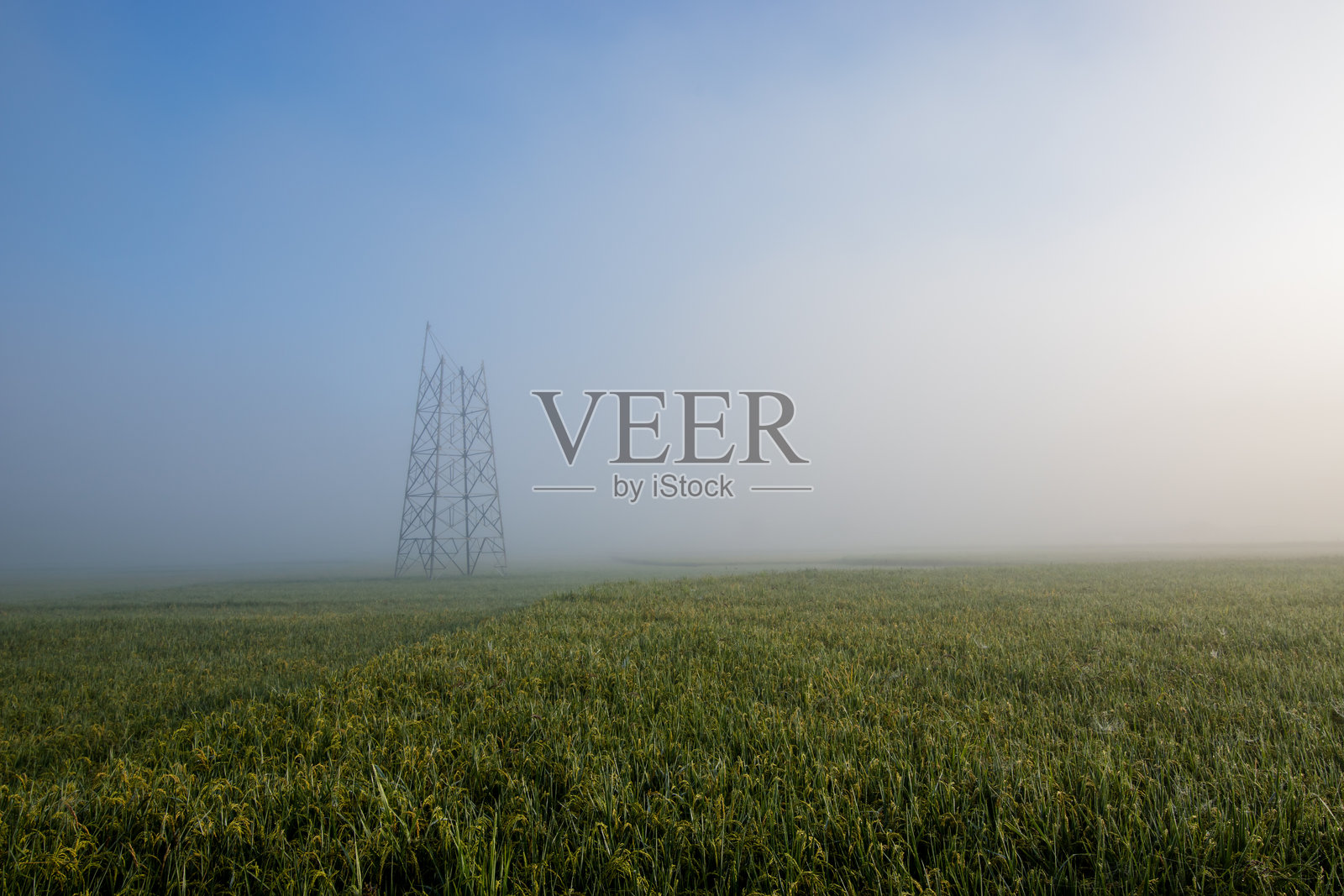 尼泊尔的稻田农田照片摄影图片