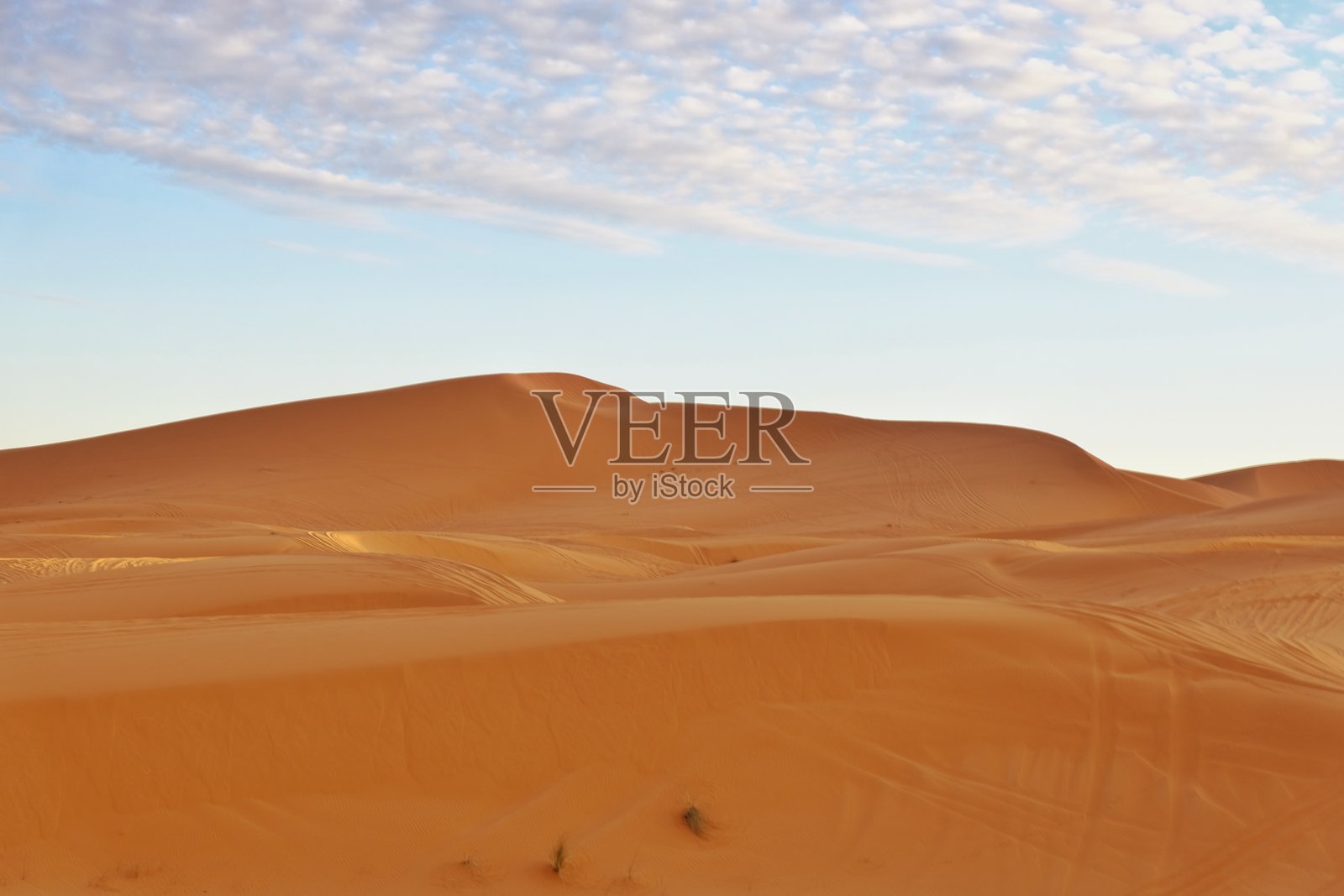 沙漠 5照片摄影图片