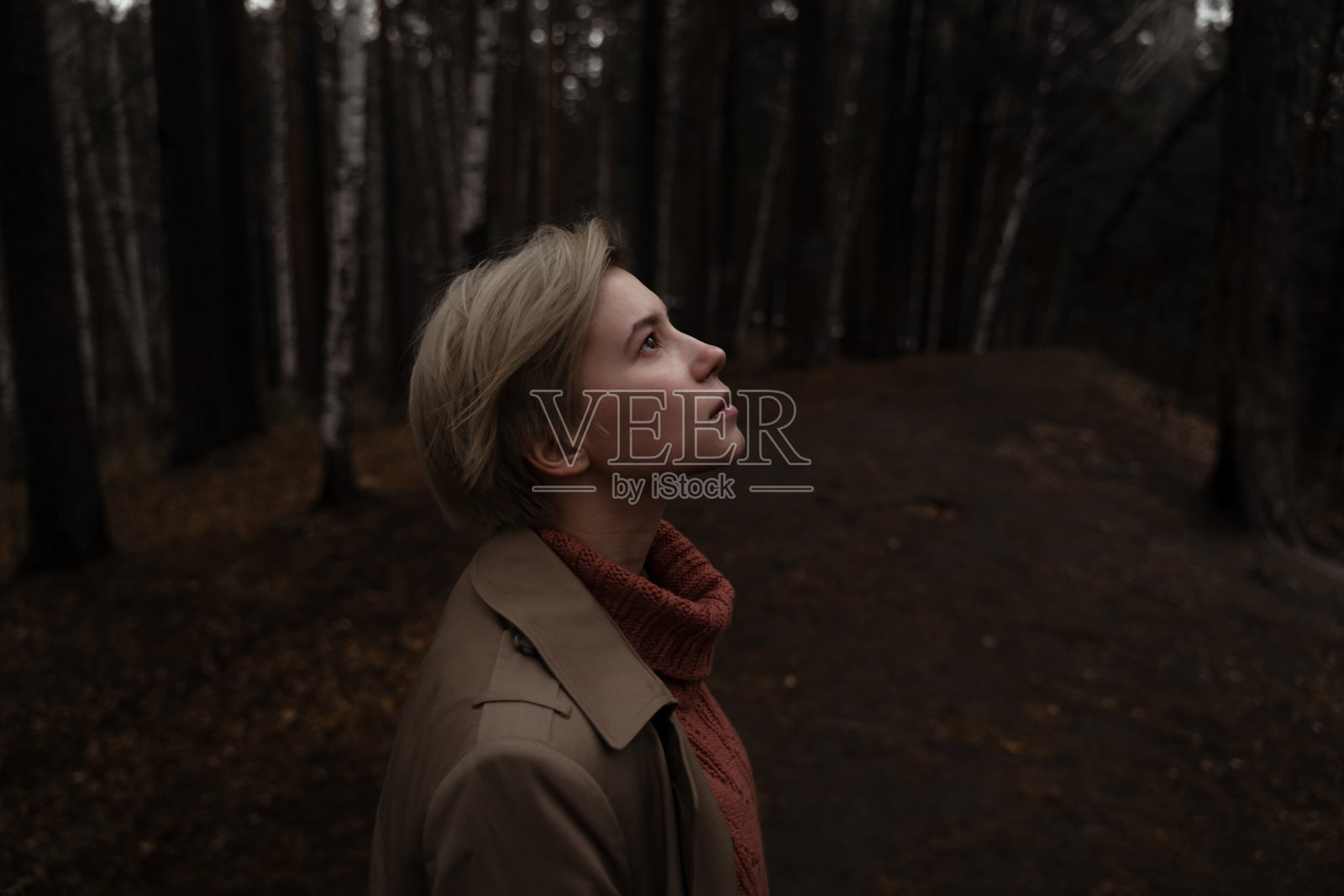 森林中靠在树上的女性侧面轮廓照片摄影图片