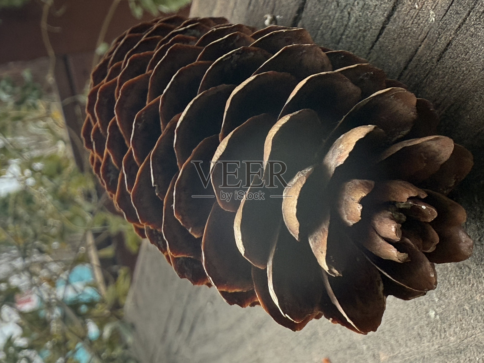 自然的几何形状照片摄影图片