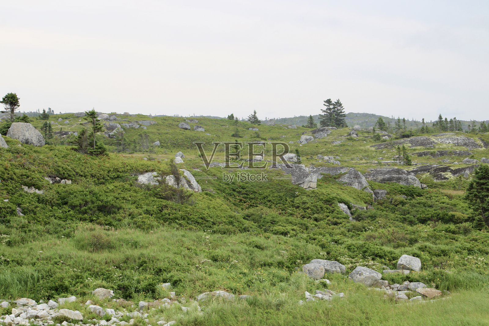 新斯科舍省的风景照片摄影图片