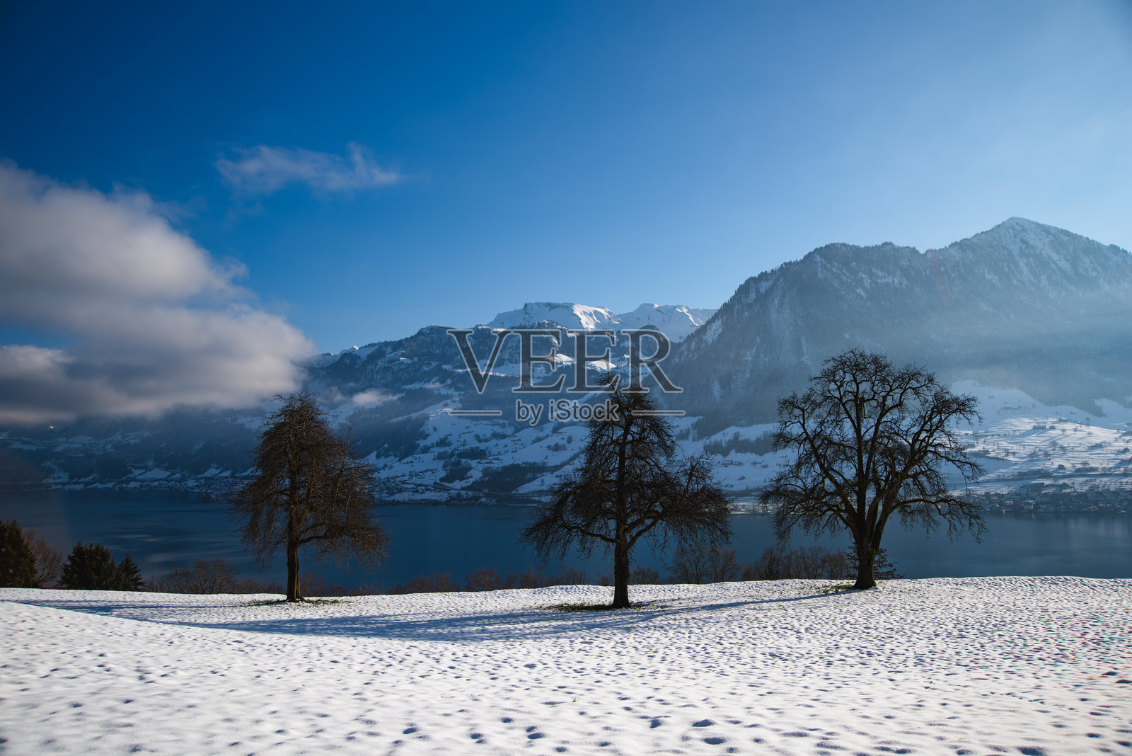 光秃的冬季树木与湖泊和阿尔卑斯山脉照片摄影图片