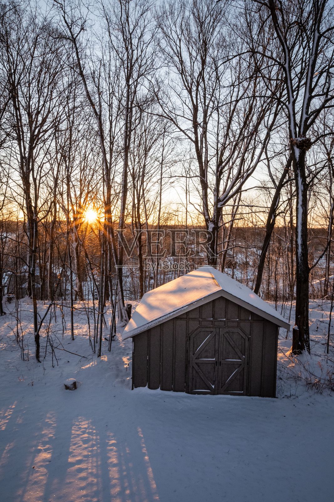 冬季日出映照在森林中的雪-covered小屋上。照片摄影图片