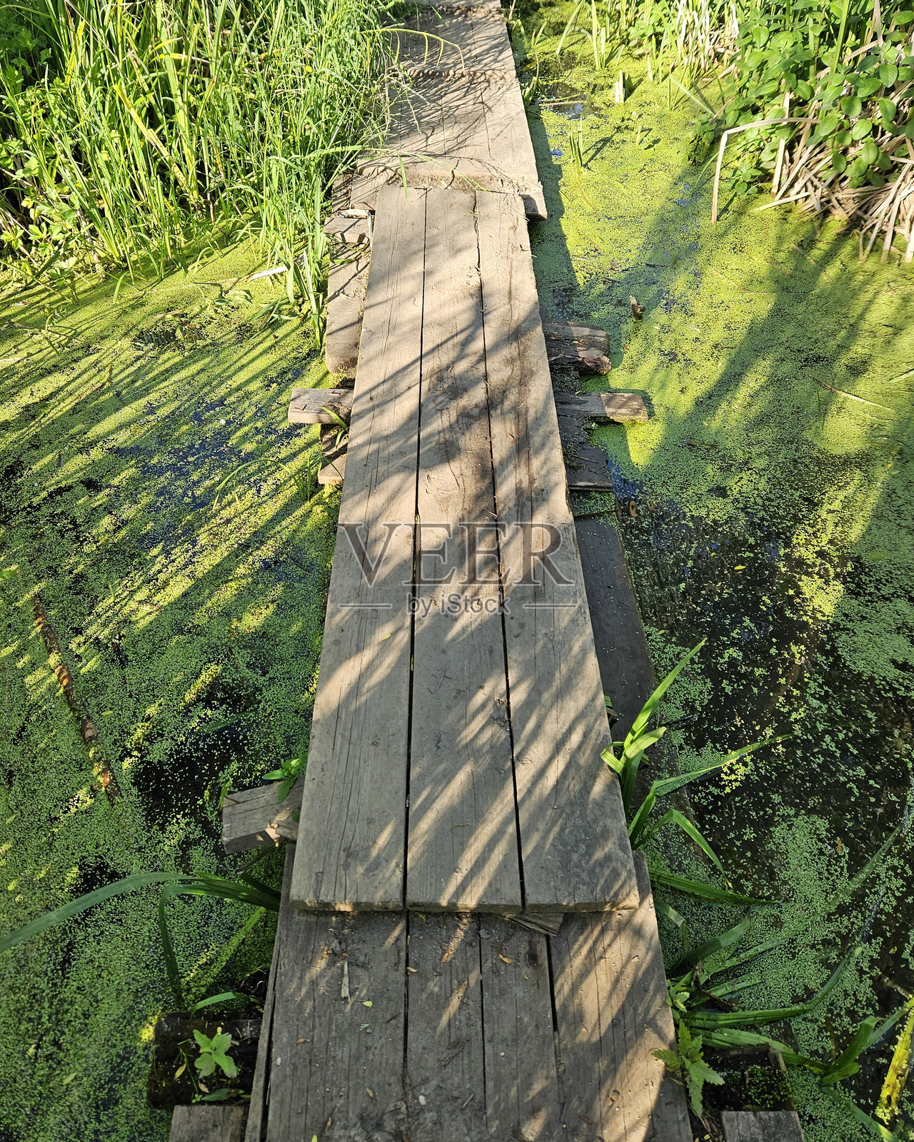 木栈道照片摄影图片