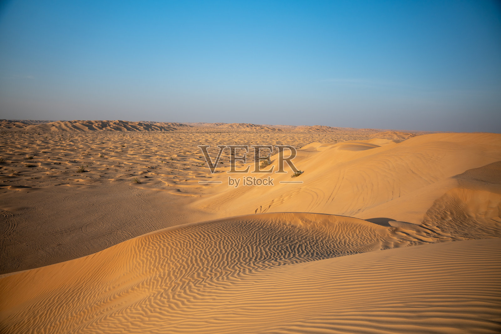 阿曼的鲁卜哈利沙丘照片摄影图片