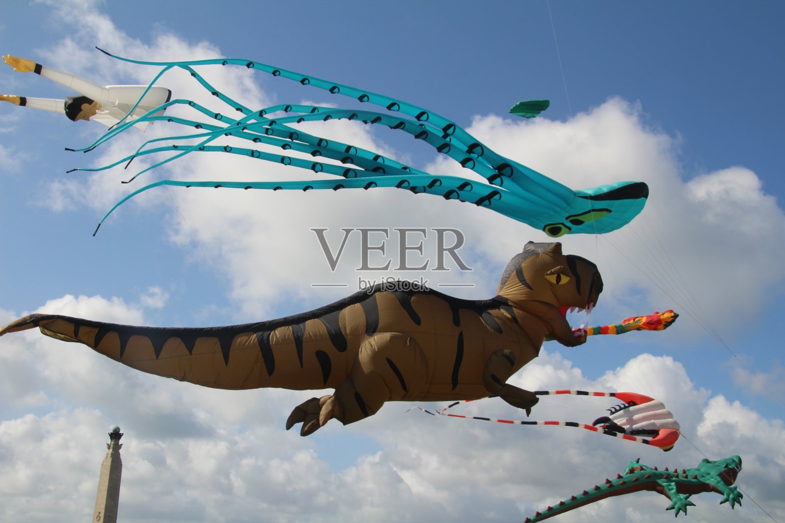 南海岸风筝节照片摄影图片