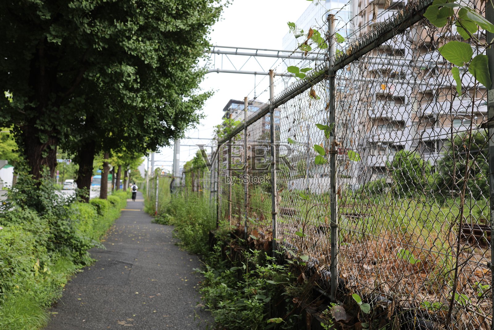 日本东京的人行道照片摄影图片
