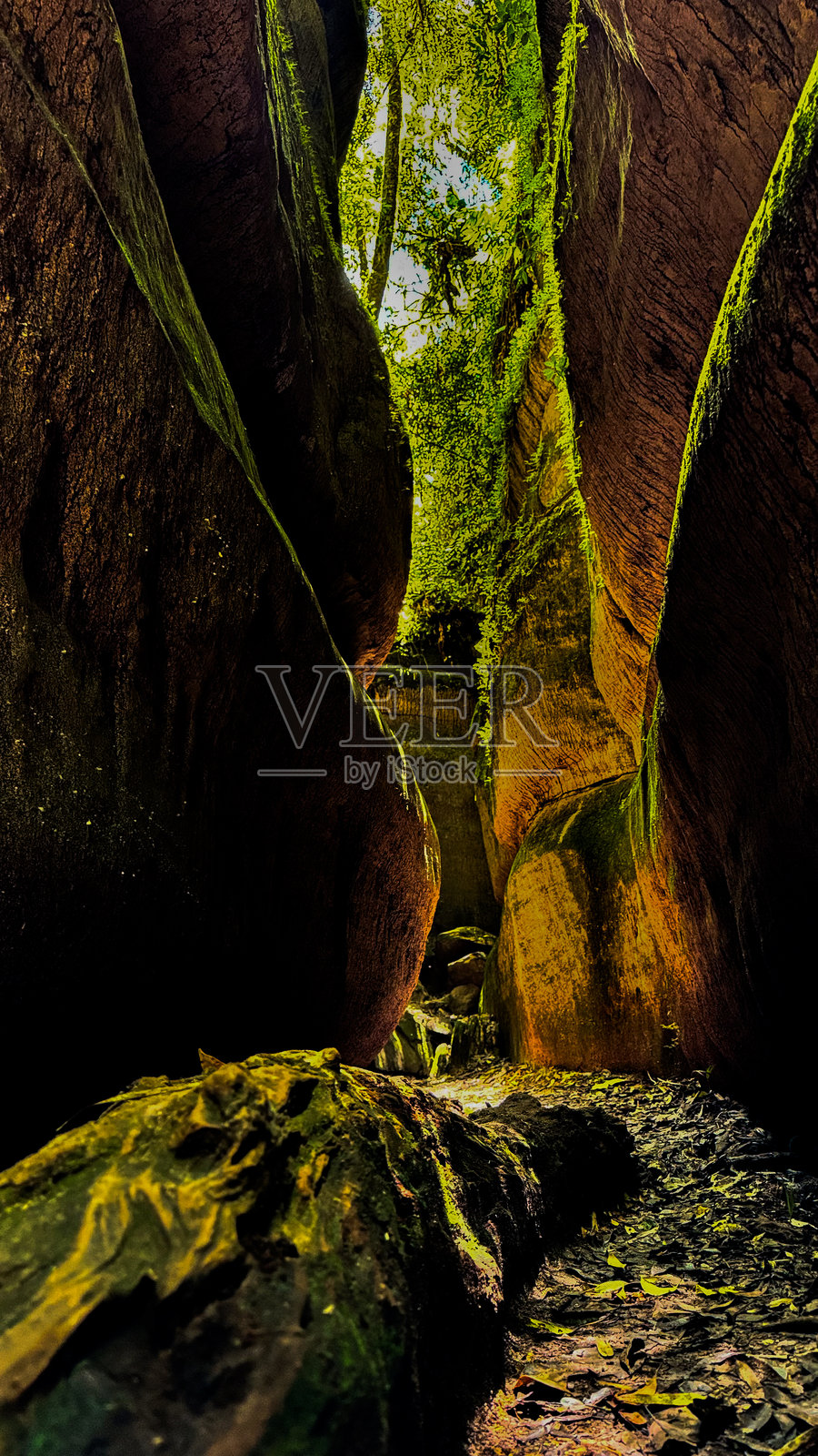 绿色狭道照片摄影图片