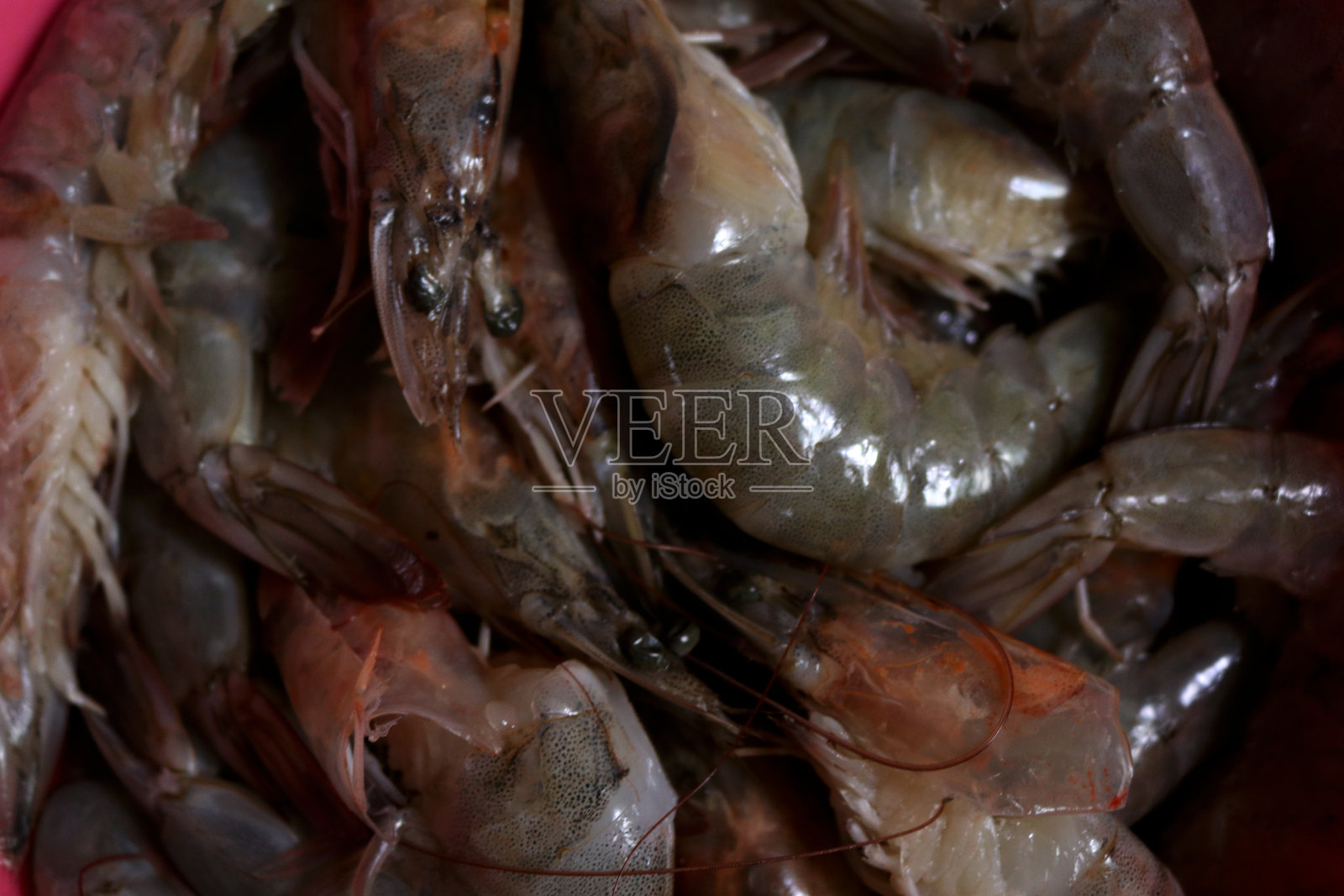 鱼市场新鲜虾的照片，准备烹饪成美味佳肴照片摄影图片