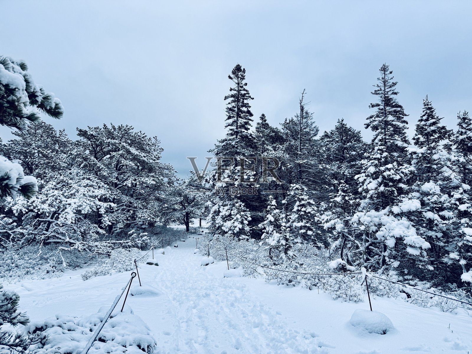 梦幻之地小径 - 阿卡迪亚国家公园照片摄影图片