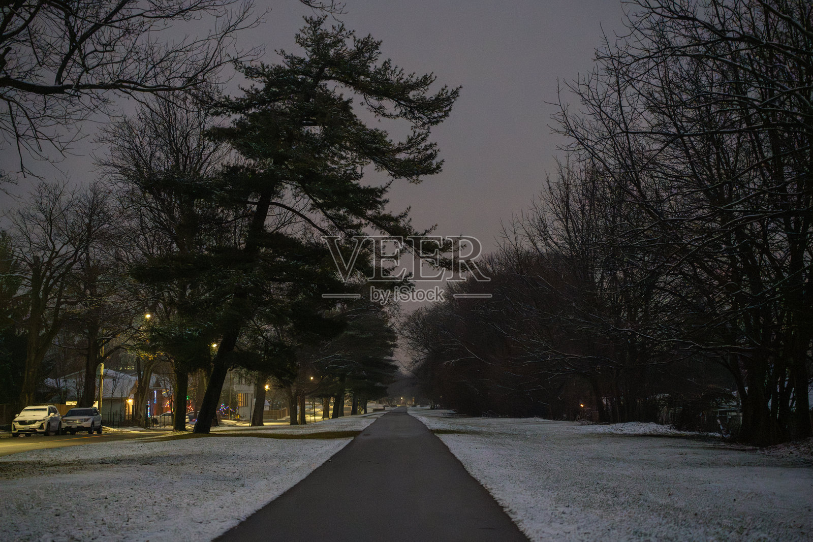 冬季夜晚树木间的空旷道路。照片摄影图片