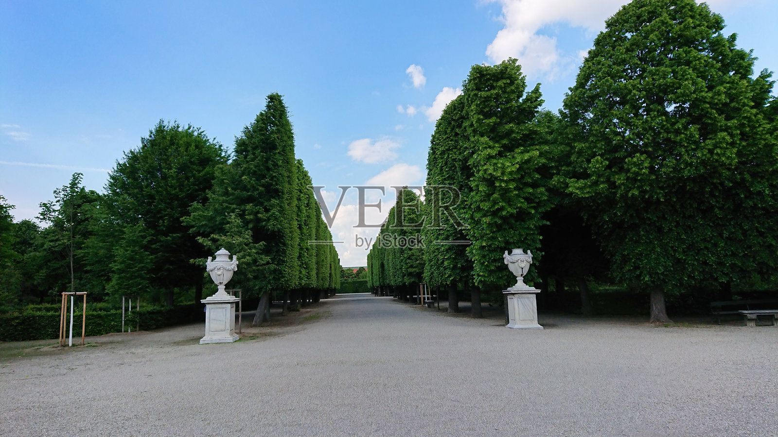 宁静公园中的对称树荫小道照片摄影图片