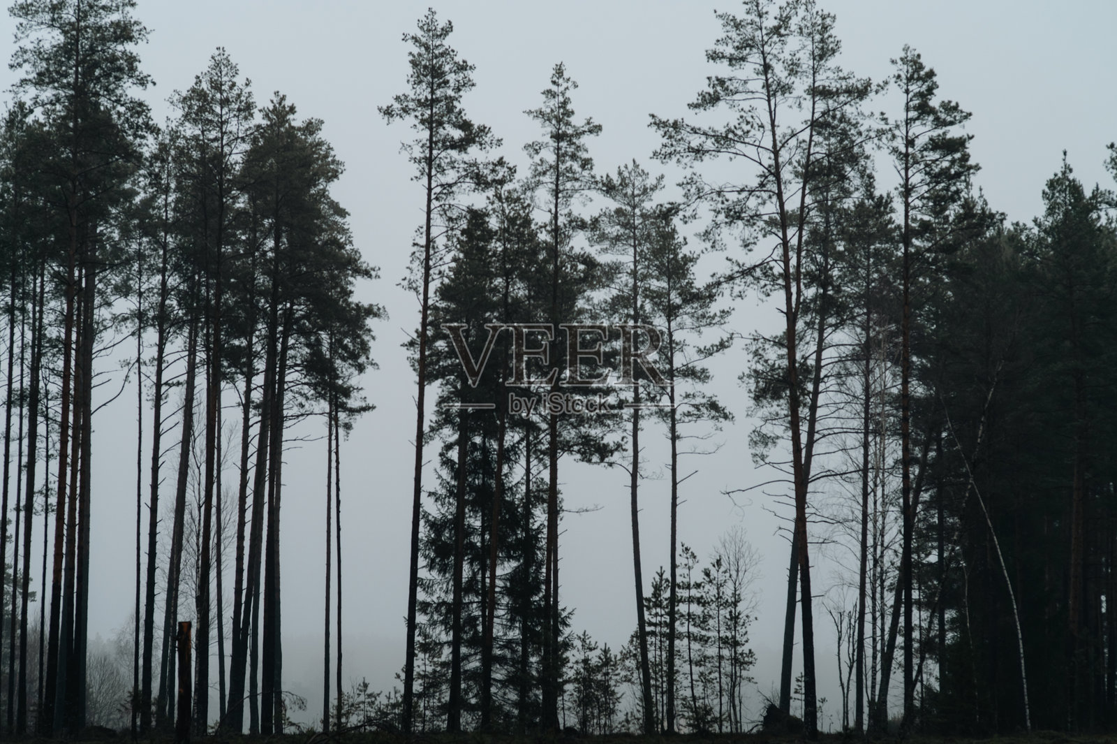 阴雨、雾霭。阴沉和恶劣的天气。忧郁的星期一，抑郁，悲伤。照片摄影图片