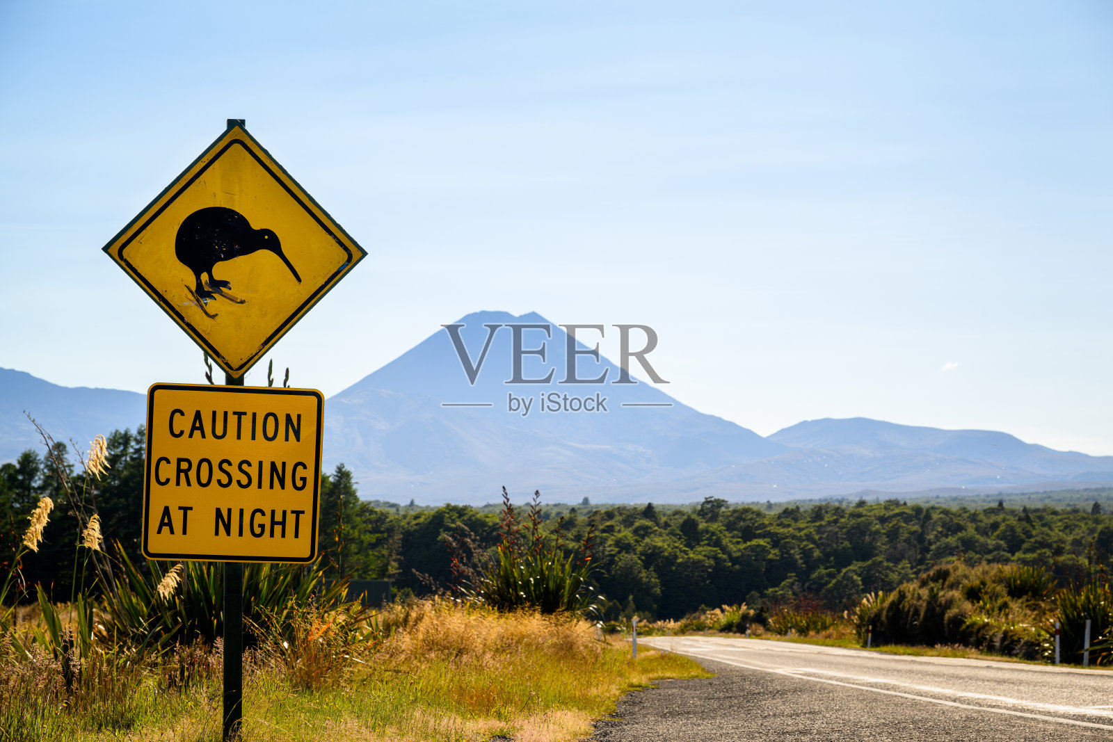 夜间的奇异鸟过路标志，路边可见。远处是纳乌鲁霍伊山。汤加里罗国家公园，新西兰。照片摄影图片