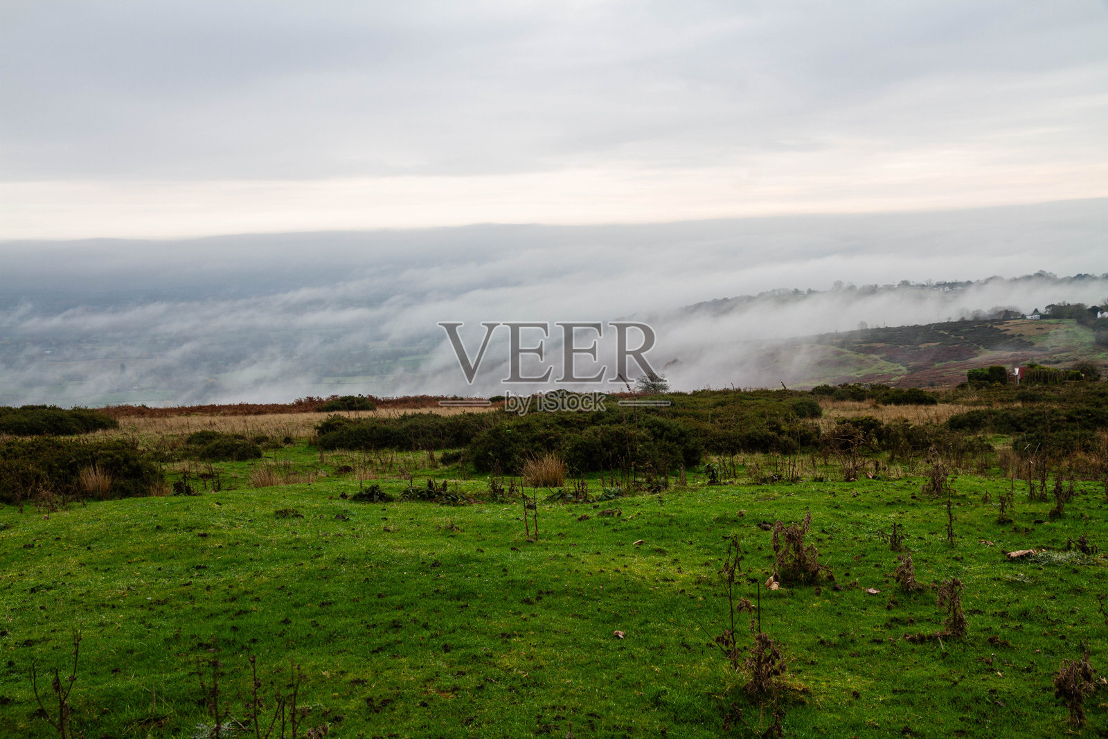 温度逆温现象，云层环绕着山谷和丘陵，前景是绿色的沼泽。照片摄影图片