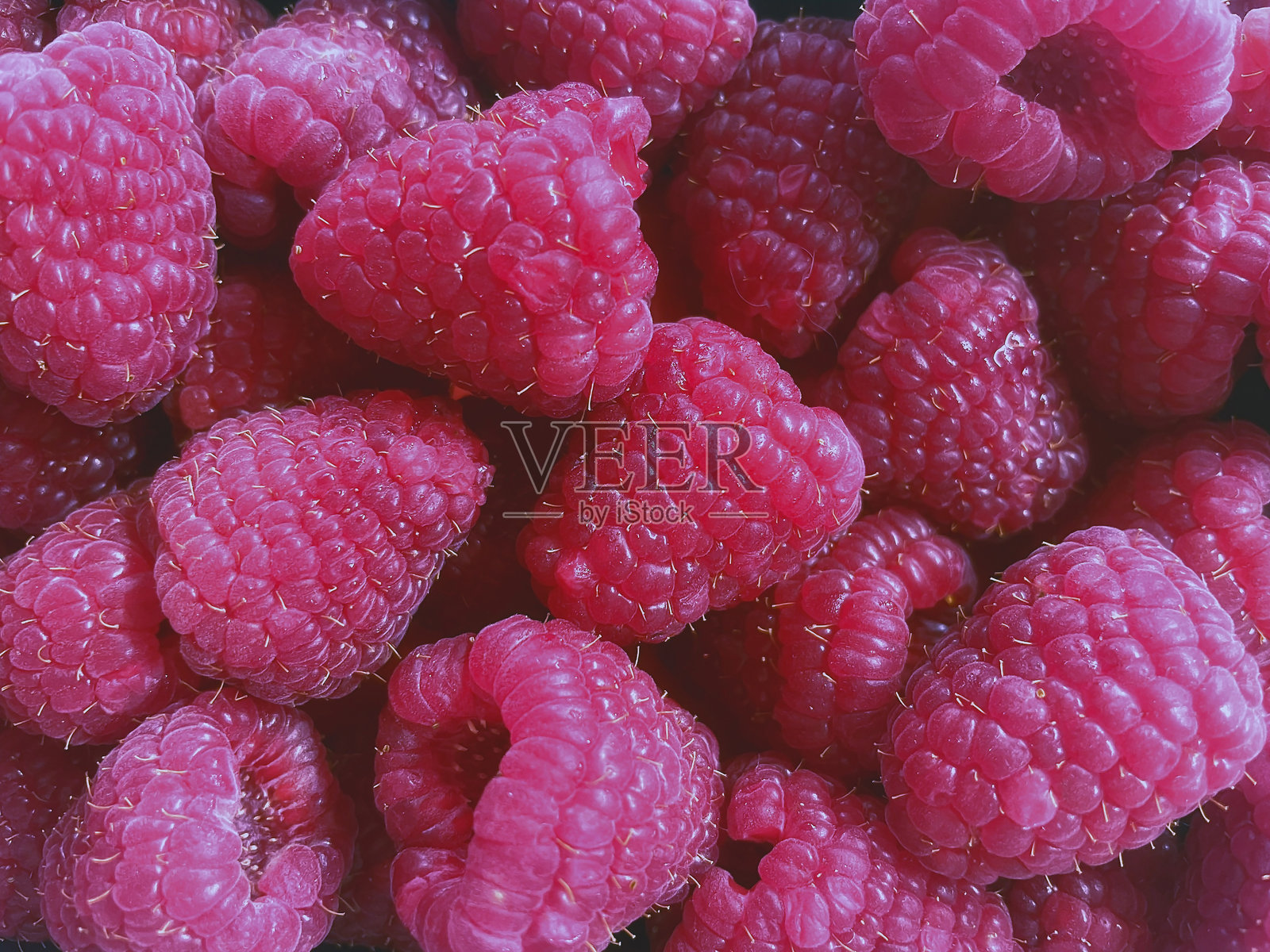 美丽的粉色覆盆子特写照片摄影图片