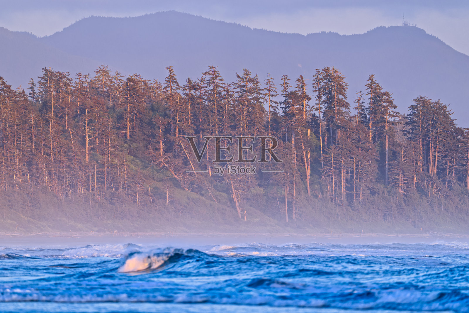 不列颠哥伦比亚省温哥华岛照片摄影图片