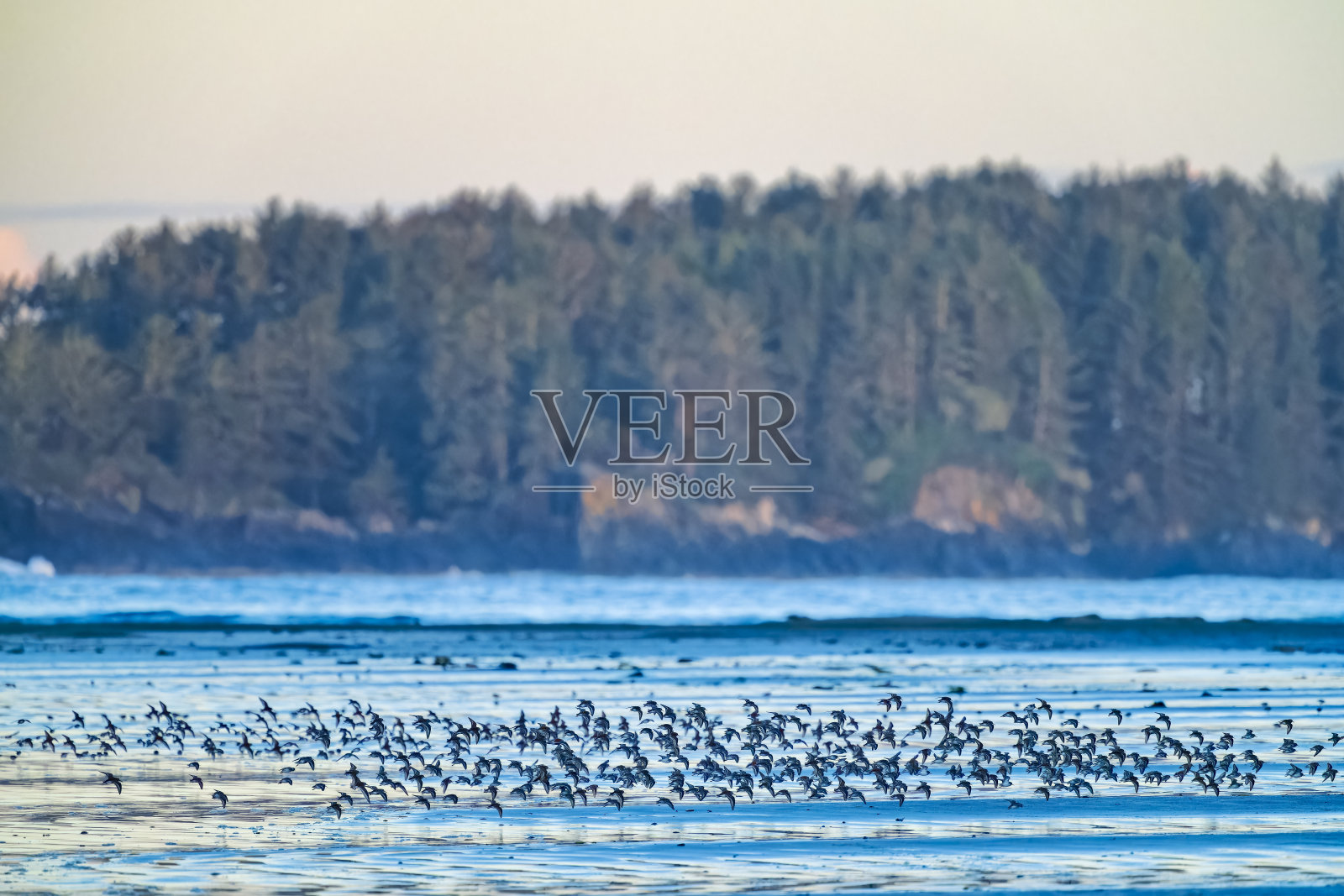 不列颠哥伦比亚省温哥华岛照片摄影图片