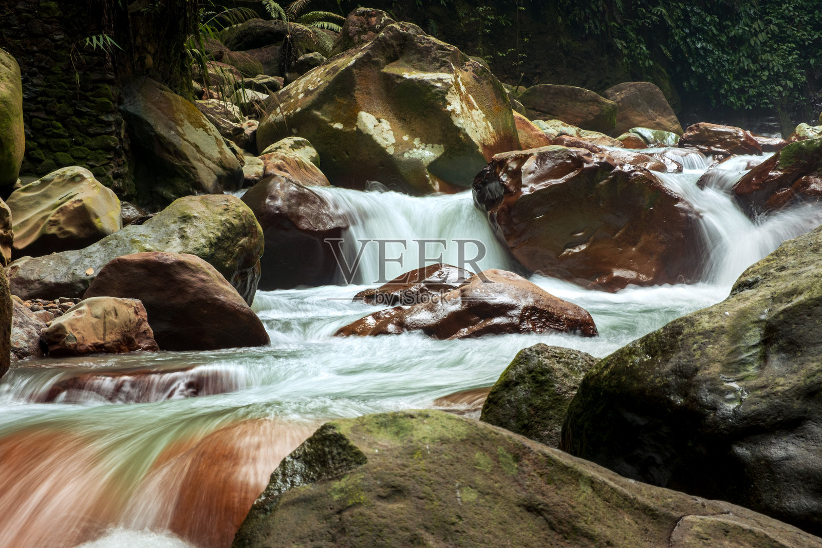 热带森林中流淌的岩石河流照片摄影图片