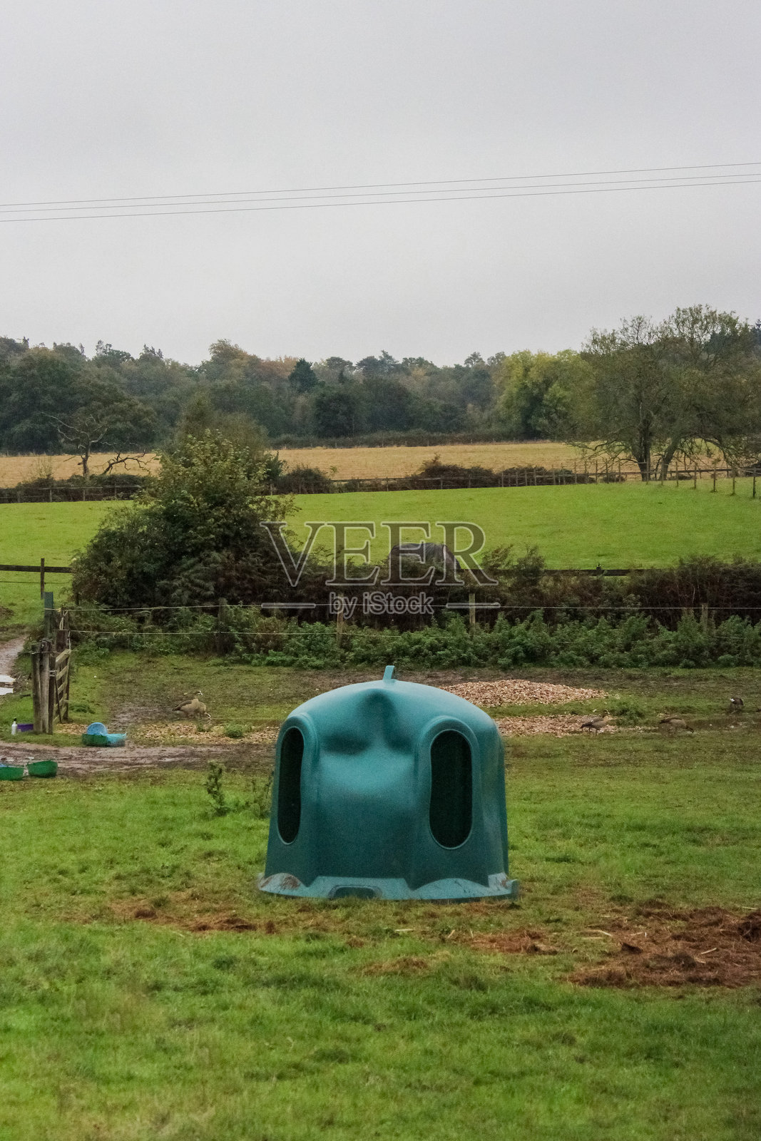 马用饲料槽照片摄影图片