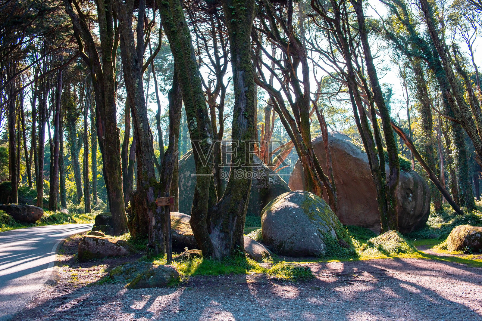 公园中美丽的自然风景，巨石与绿树相映成趣照片摄影图片