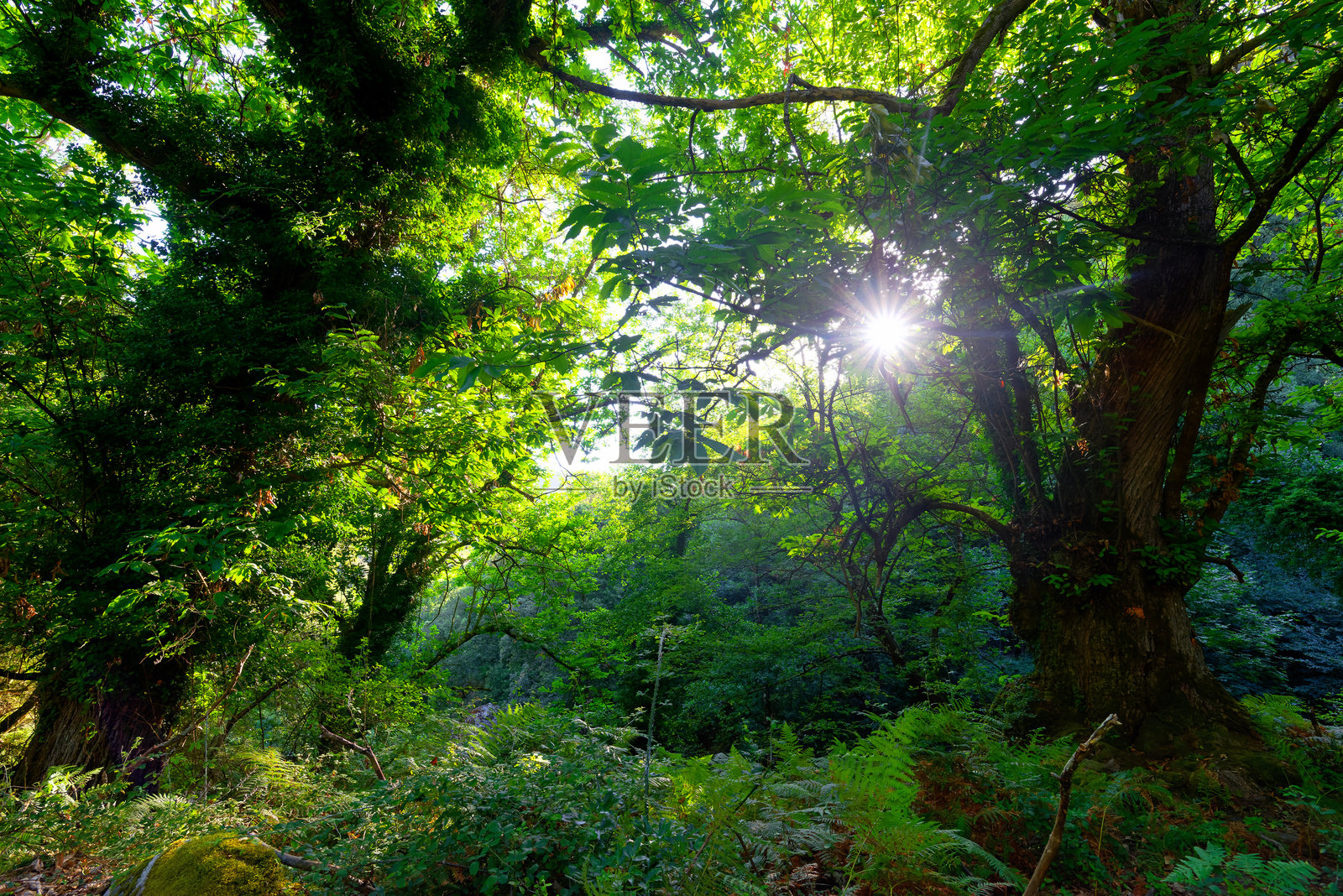 通往废弃村庄Fiuminale的山间小径照片摄影图片