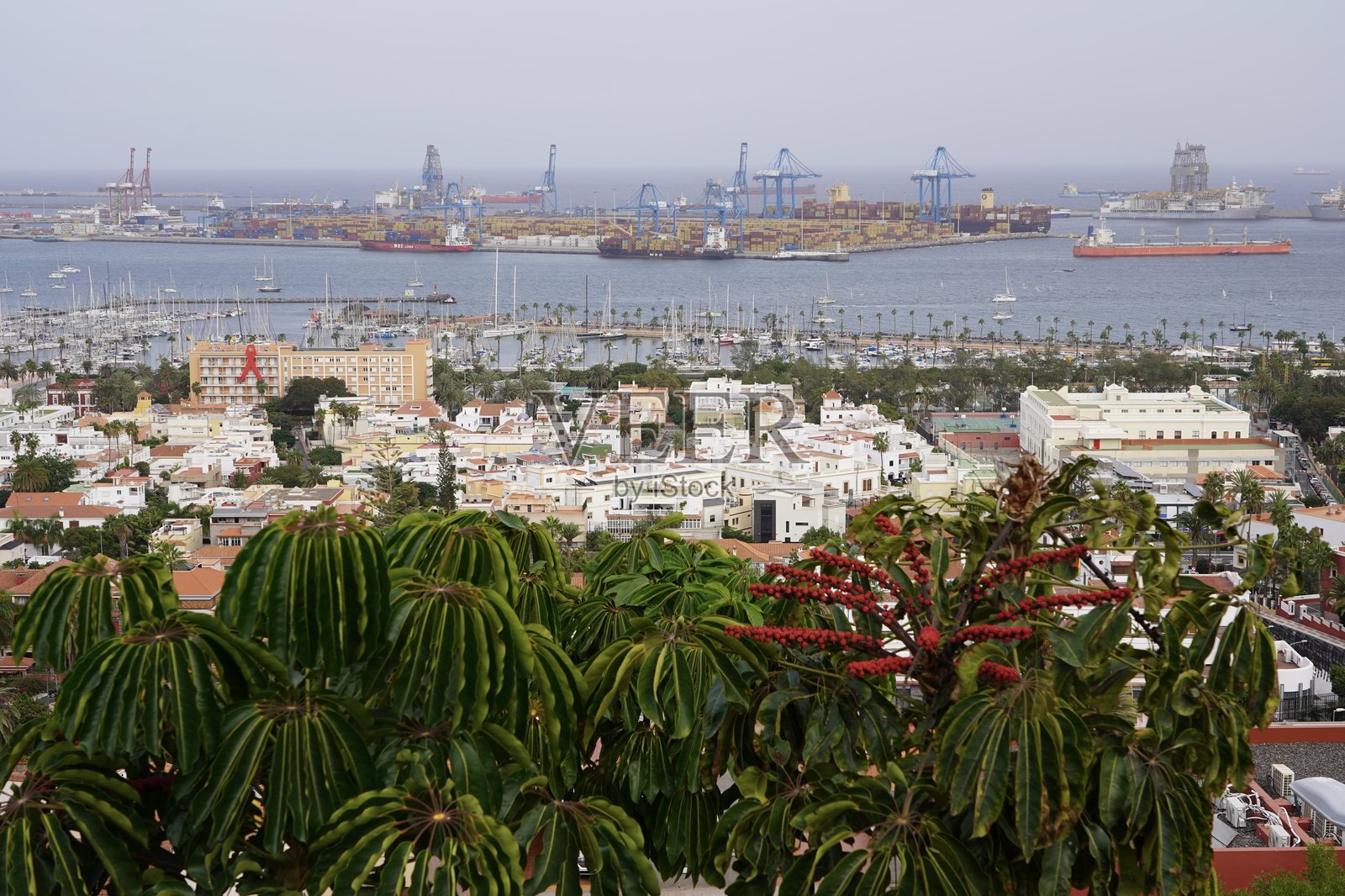 Las Palmas officially Las Palmas de Gran Canaria is a Spanish city and capital of Gran Canaria, in the Canary Islands, in the Atlantic Ocean.照片摄影图片