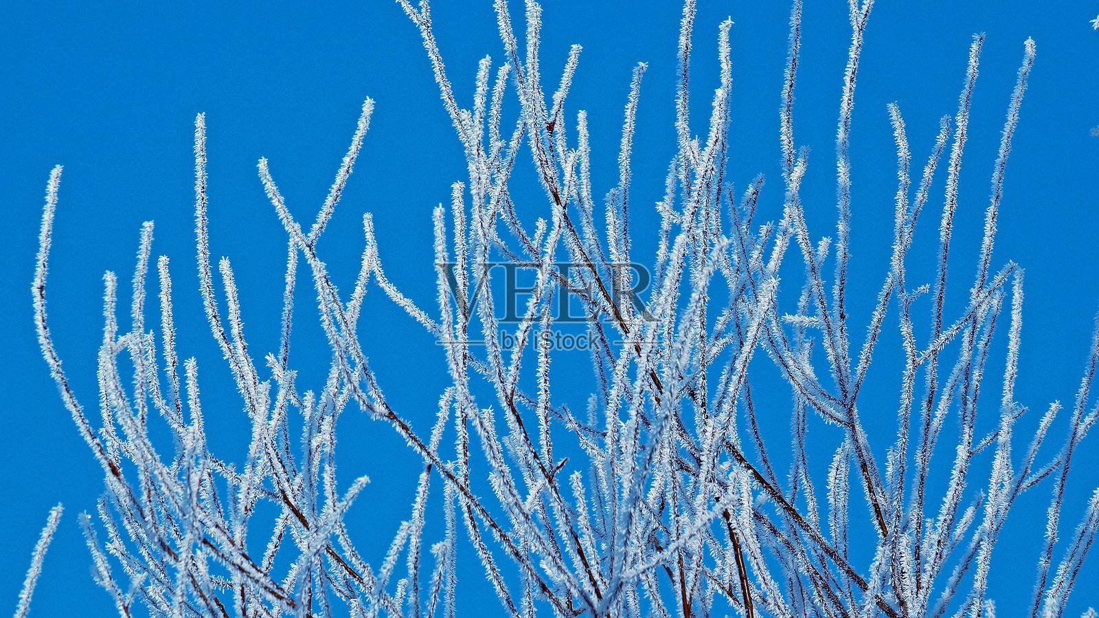 冬季风景照片摄影图片