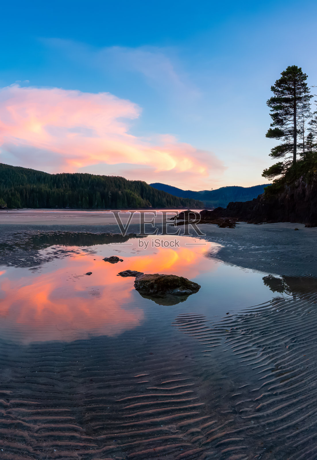 太平洋海岸的沙滩全景。照片摄影图片