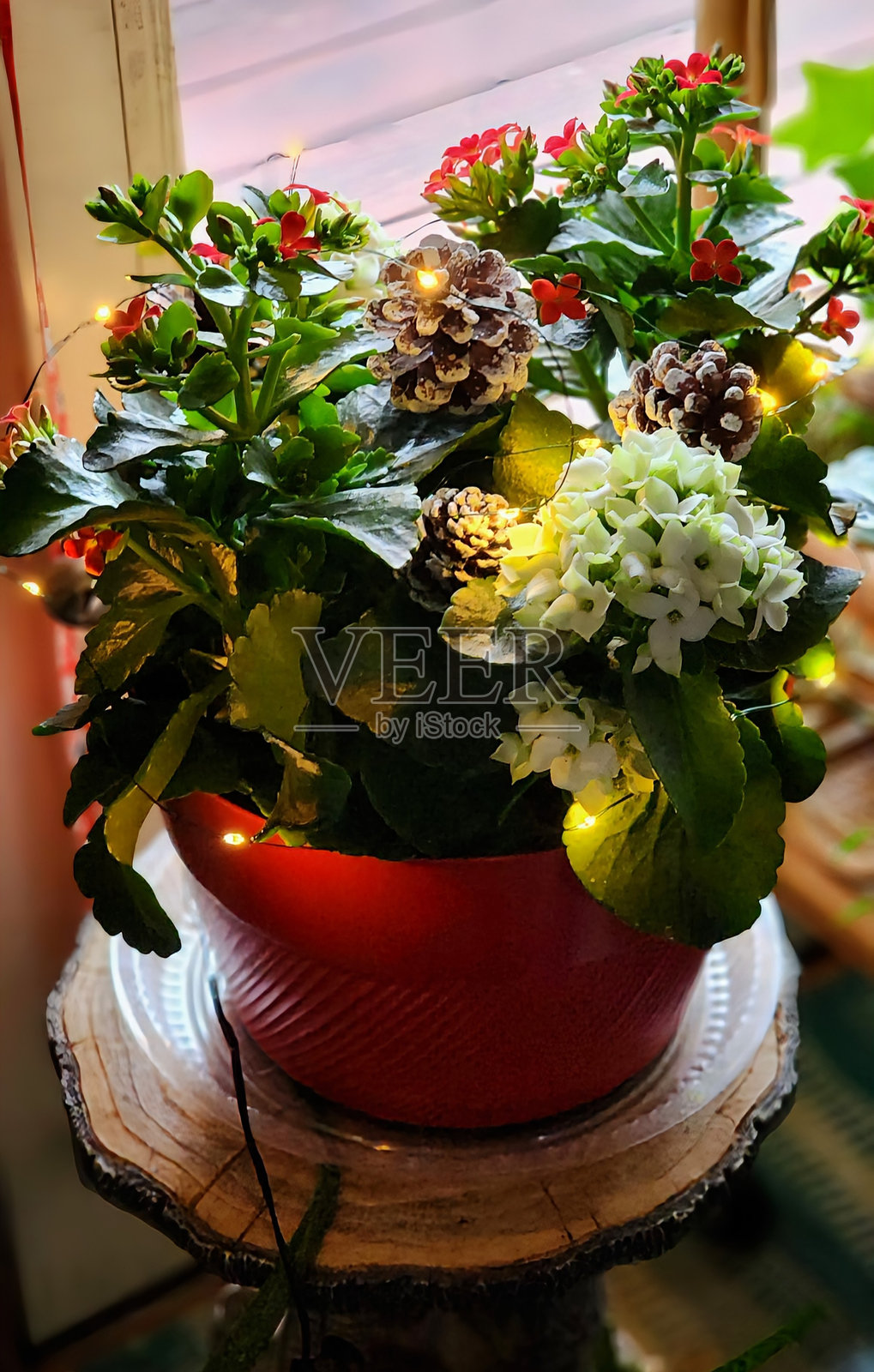 冬季宁静照片摄影图片