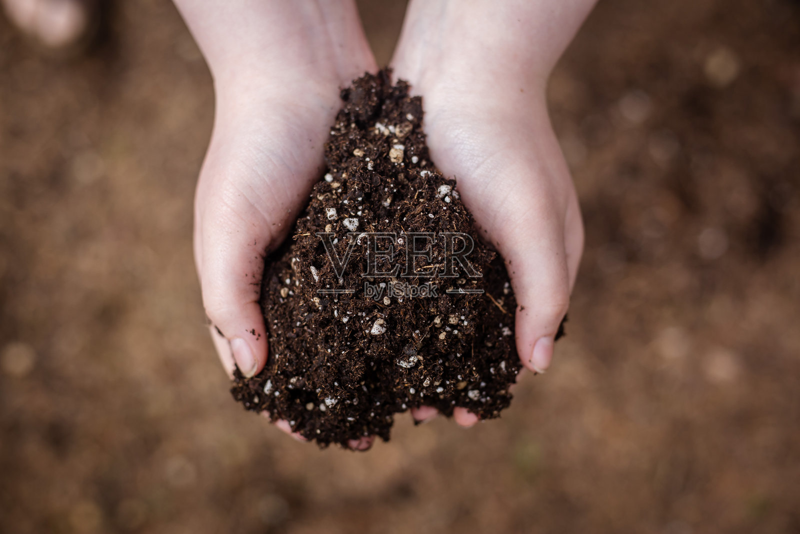 春天户外手抓花园土壤照片摄影图片