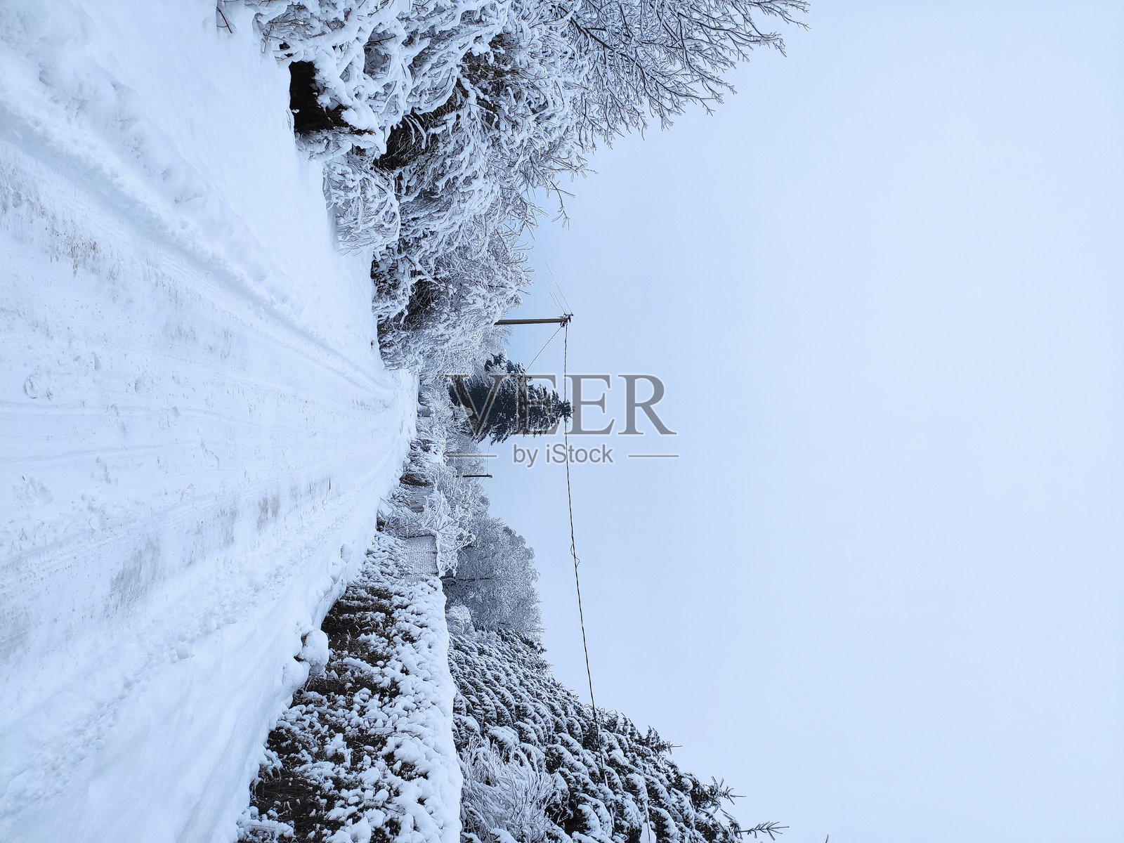 冬天的美丽色彩。自然之美照片摄影图片