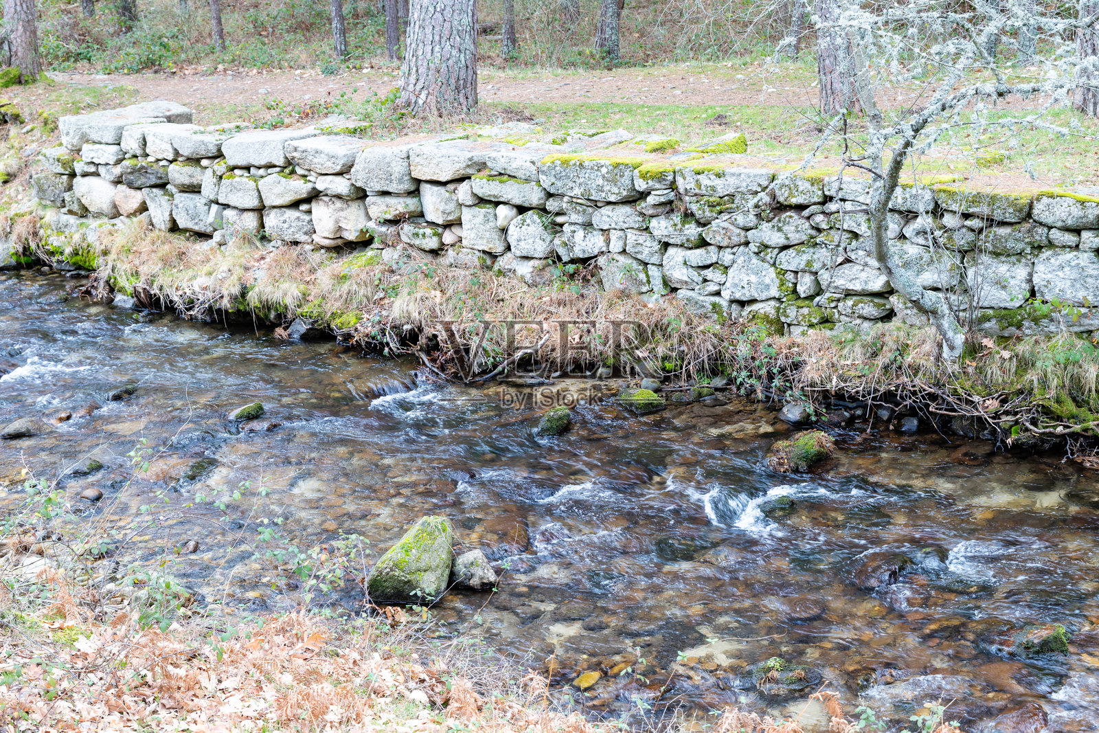 埃雷斯马河在塞哥维亚省的瓜达拉马山脉流经的河岸照片摄影图片