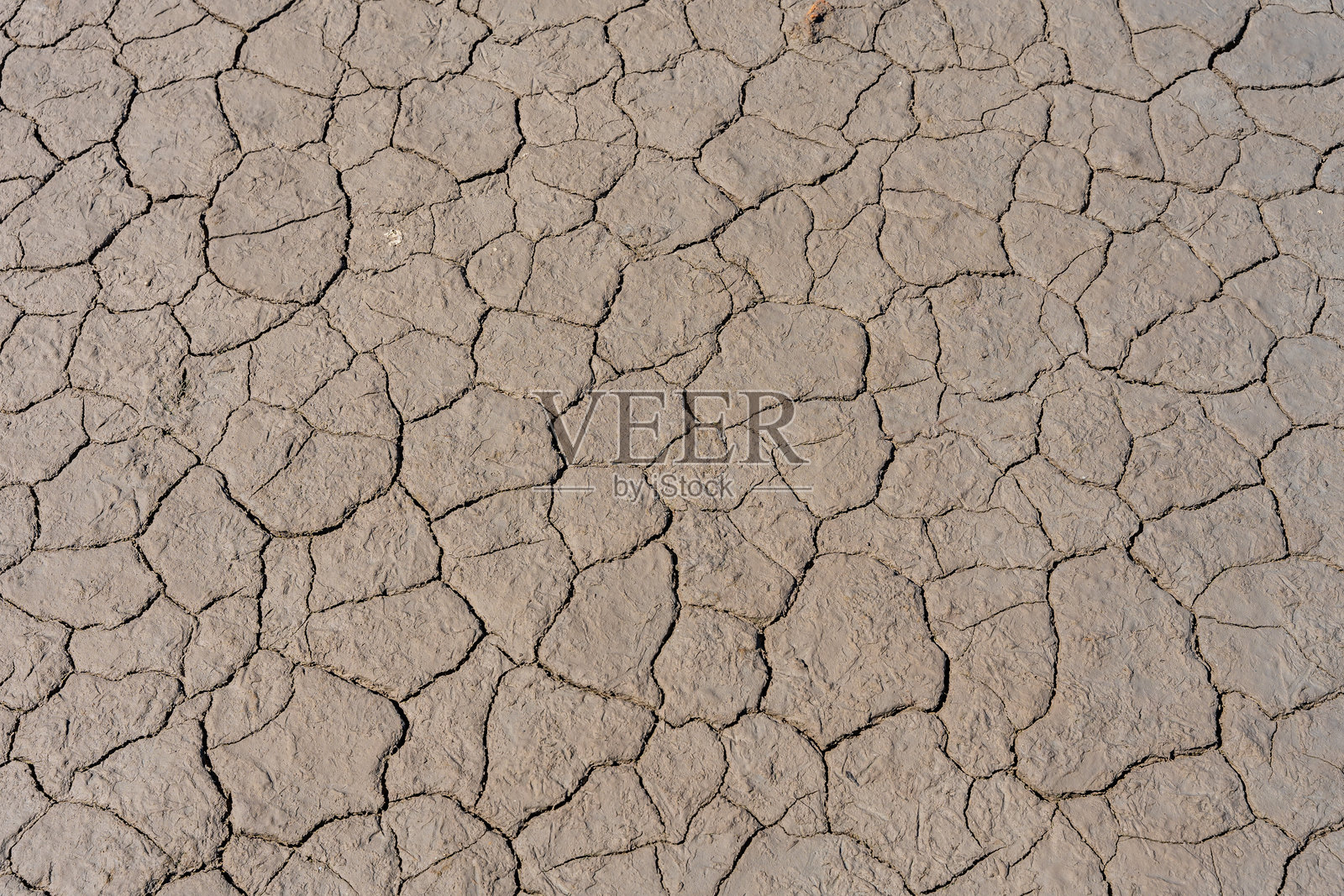 干裂的泥土纹理在干旱条件下形成抽象图案照片摄影图片