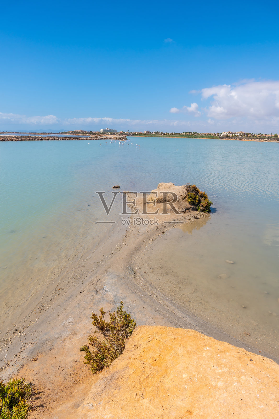 火烈鸟在西班牙马尔梅诺尔的盐滩上空飞翔照片摄影图片