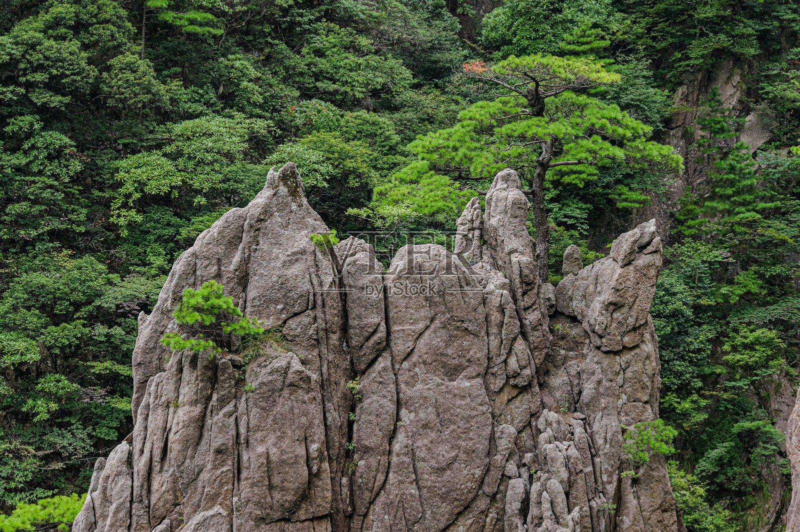 中国黄山的风景照片摄影图片