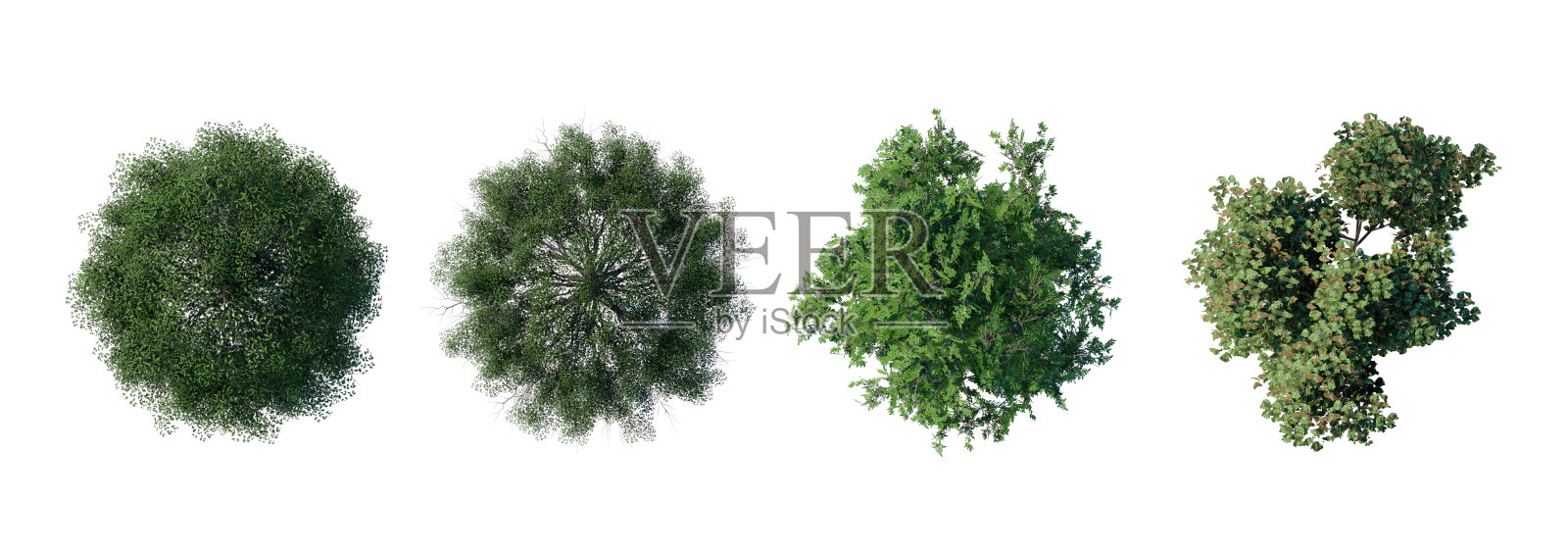 树顶视角植物景观建筑自然花园鸟瞰图。照片摄影图片