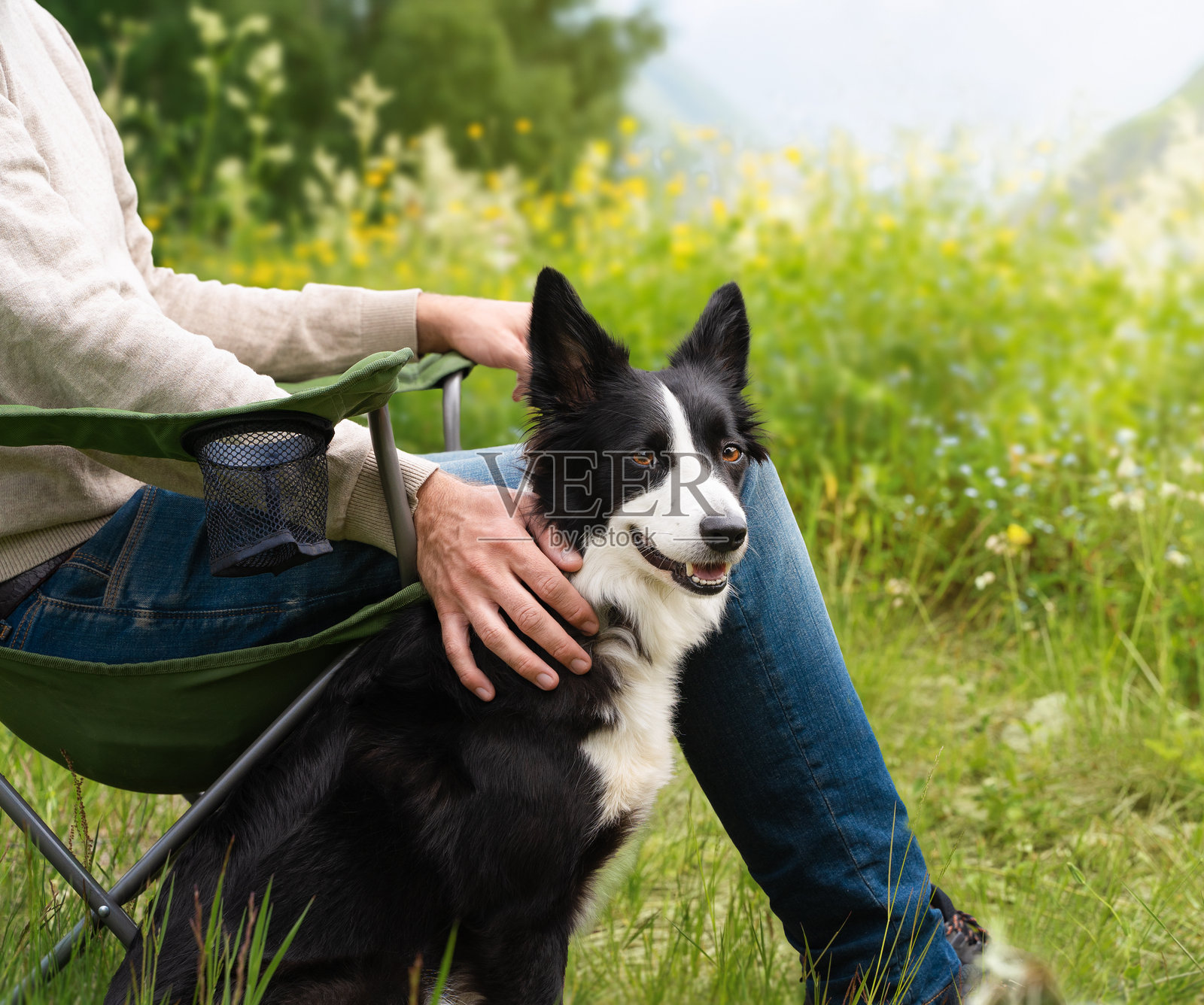 一只黑白色的边境牧羊犬在绿色草地上与主人一起休息。照片摄影图片