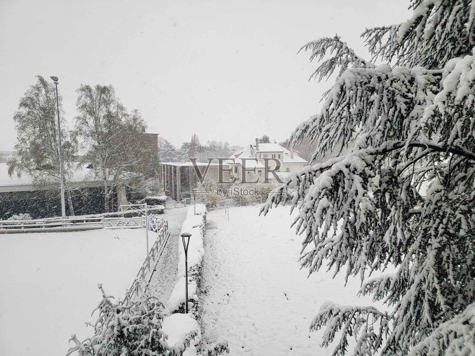 冬季照片摄影图片