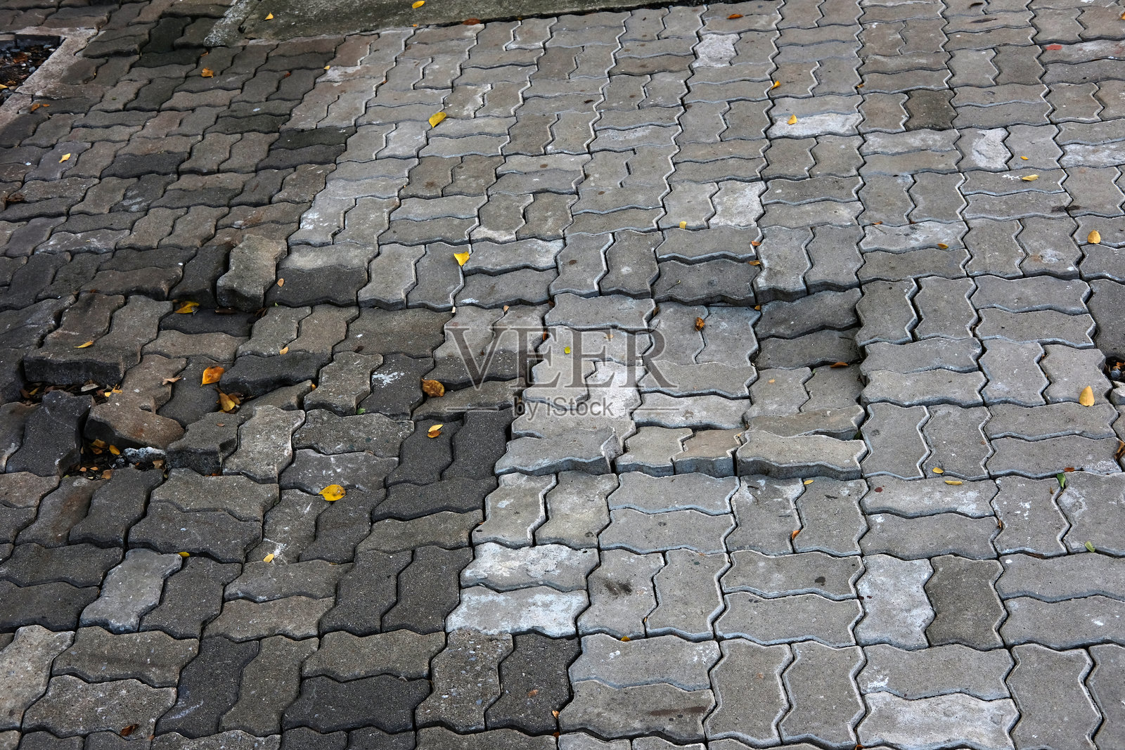 粗糙地面上的抽象形态照片摄影图片