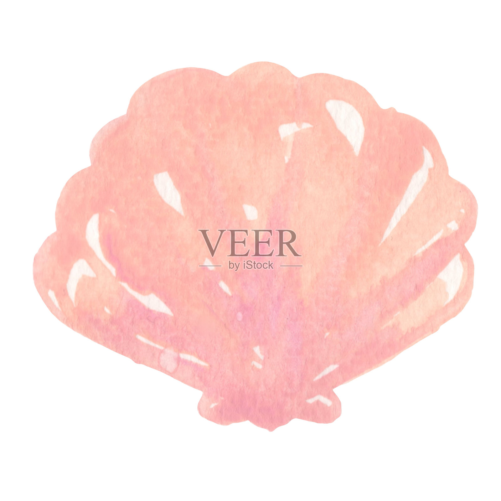 甜美的粉色和紫色海螺水彩插图，适合夏季海滩装饰，海洋和沿海概念。插画图片素材