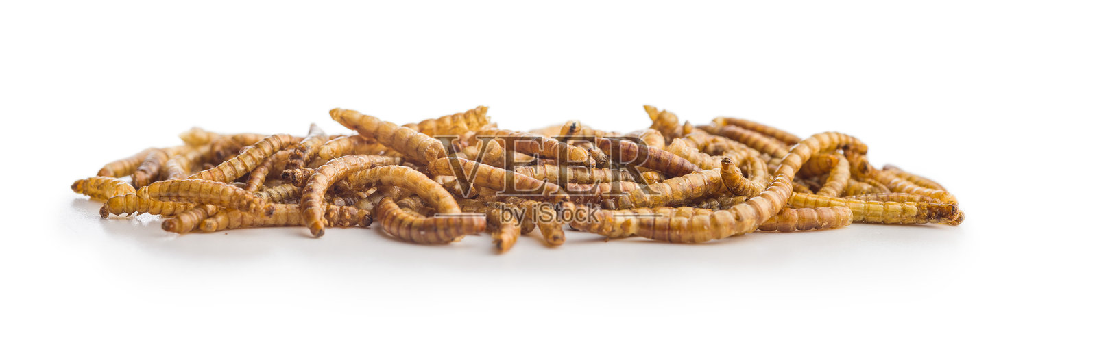 干咸虫。白色背景上的烤虫。照片摄影图片
