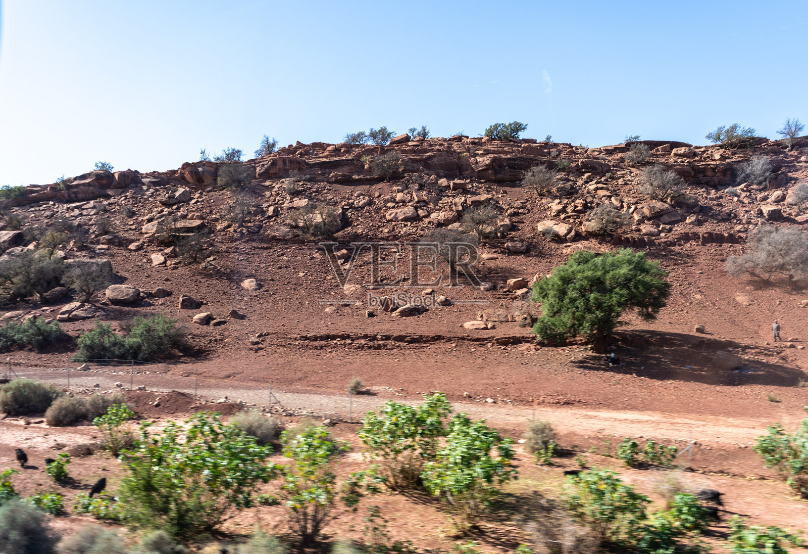 摩洛哥半沙漠和山脉，北非自然，摩洛哥石质沙漠，红色丘陵，村庄和阿甘树照片摄影图片