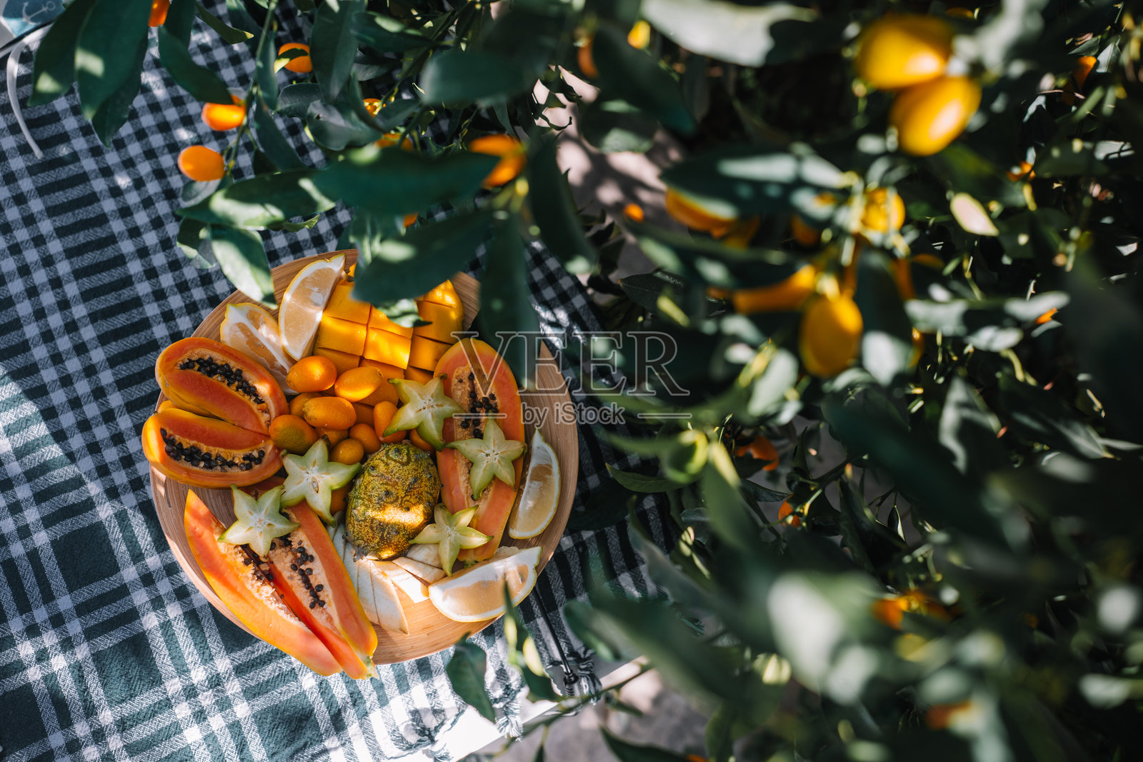 阳光明媚的日子里，在花园环境中享用五彩缤纷的热带水果拼盘照片摄影图片
