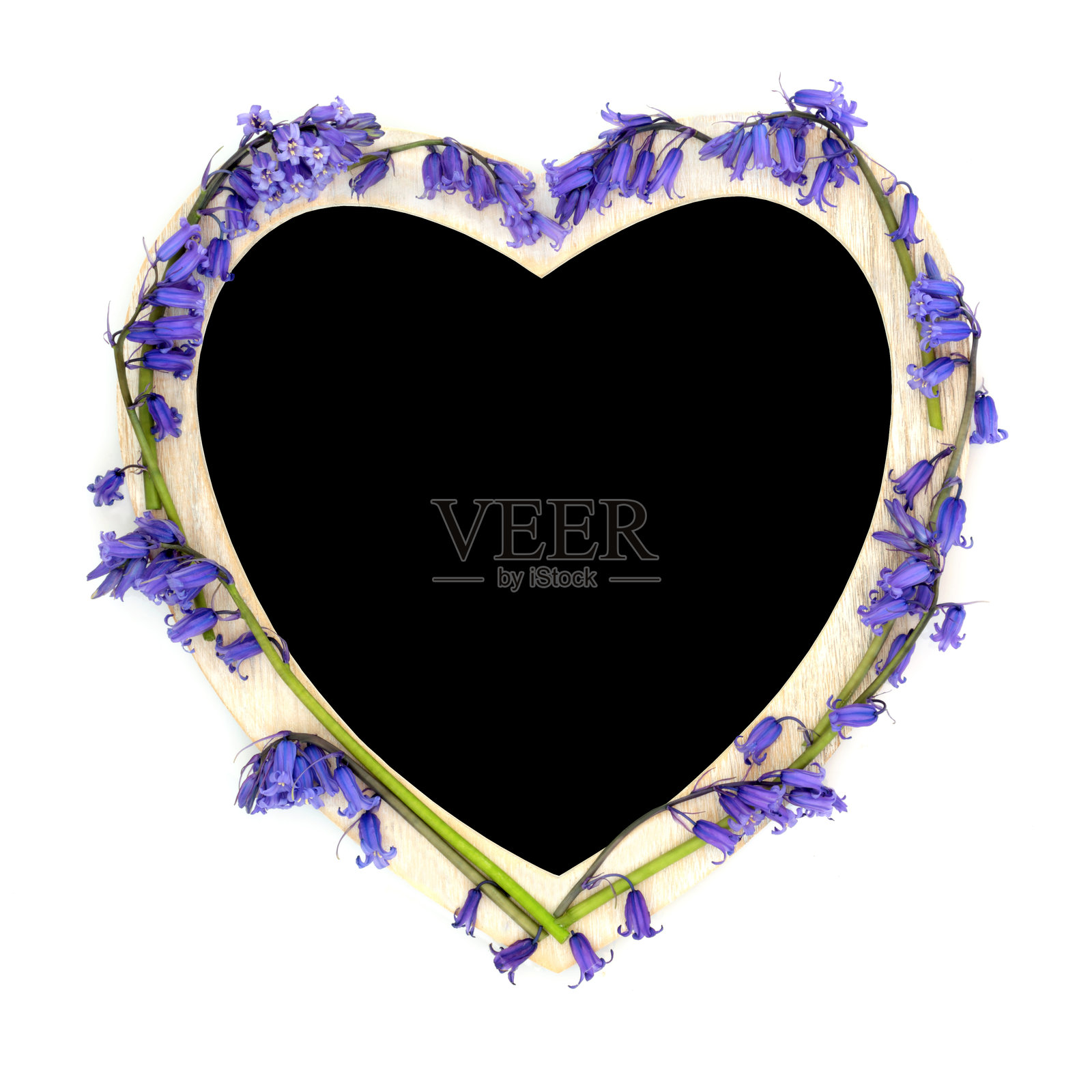 心形蓝铃春花框架照片摄影图片